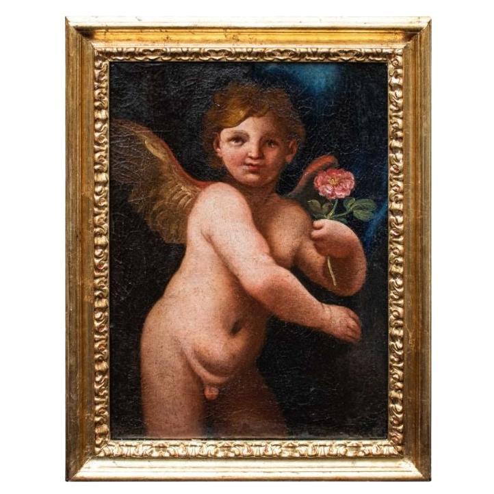 17th Century Putto with Rose Painting Oil on Canvas Emilian School For Sale