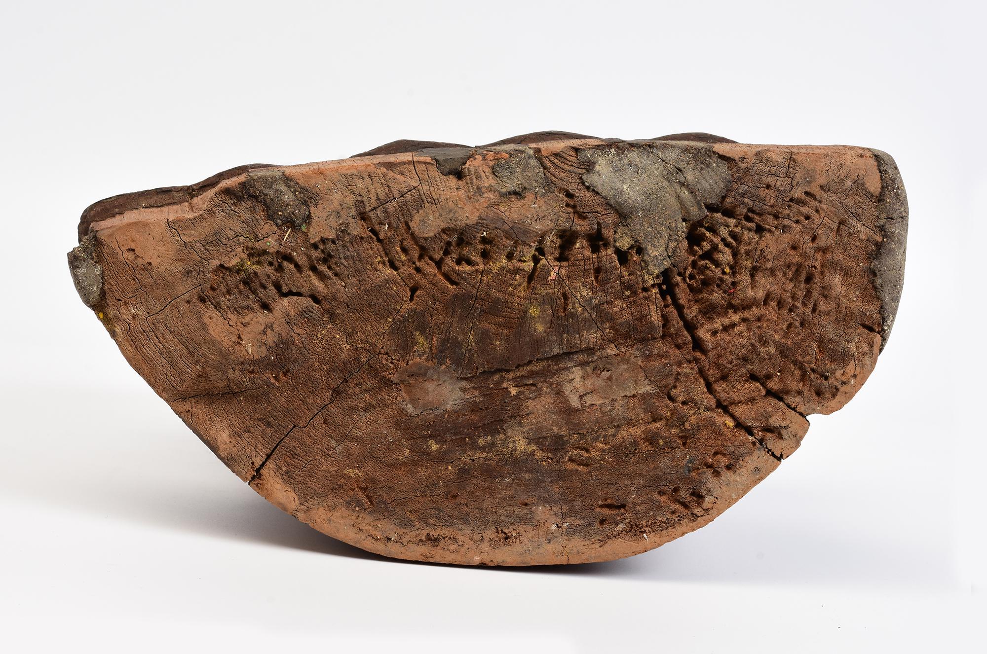 Bouddha assis en bois birman ancien Shan du 17ème siècle en vente 7