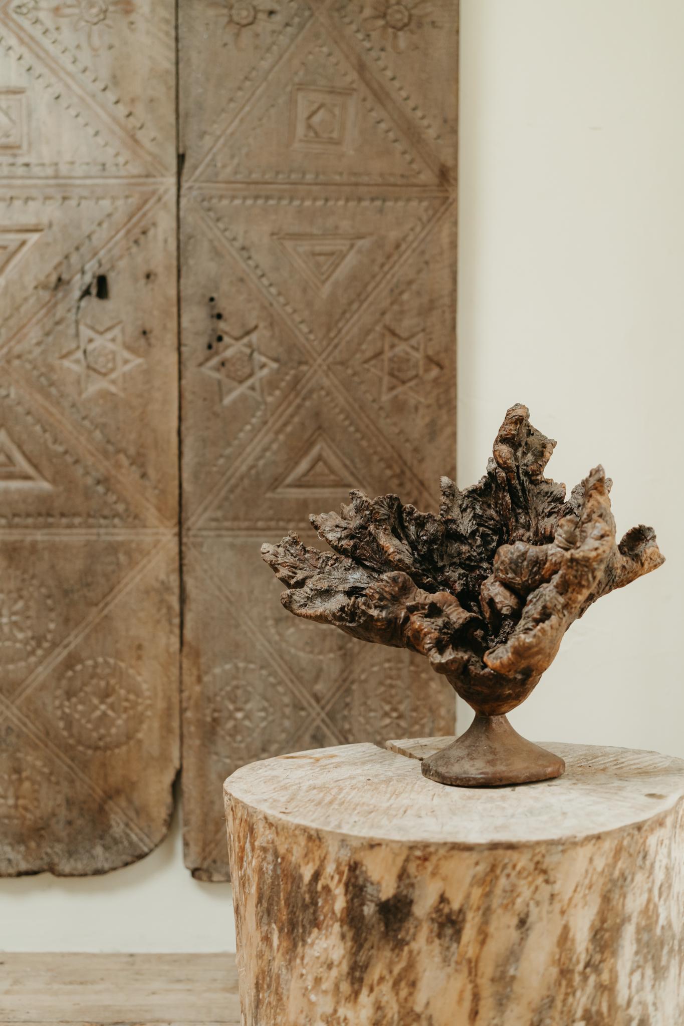 17th Century 17th century Spanish chestnut doors ... For Sale