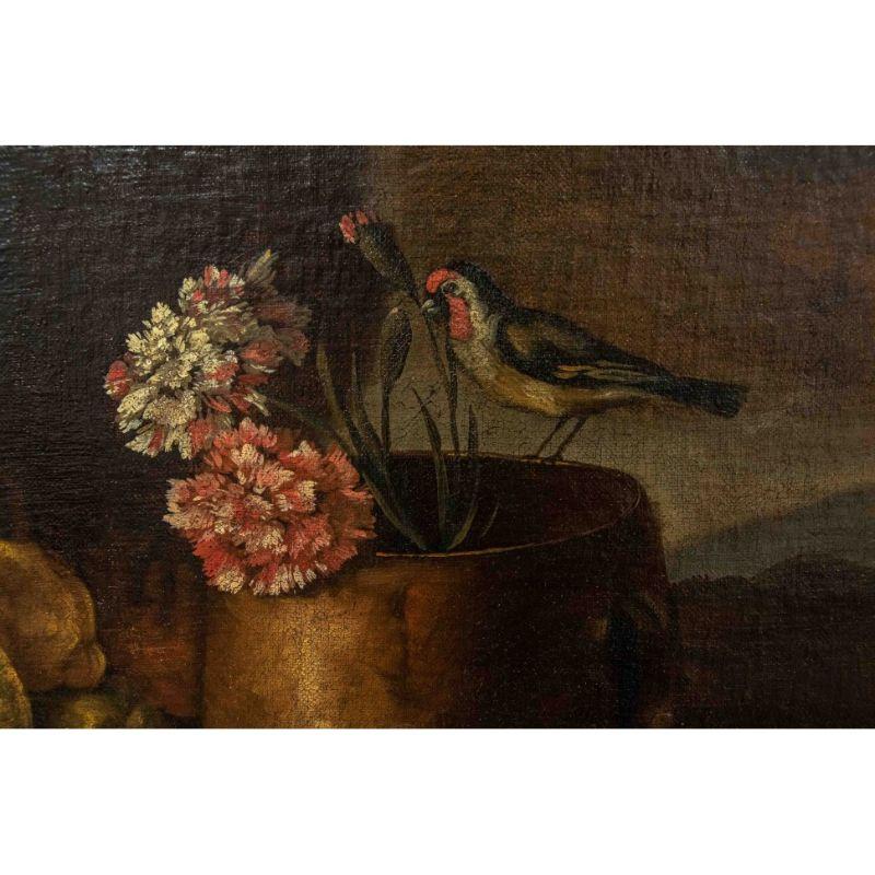 Oiled 17th Century Still Life Painting Oil on Canvas Area of Ruoppolo For Sale
