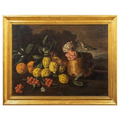 Antique 17th Century Still Life Painting Oil on Canvas Area of Ruoppolo