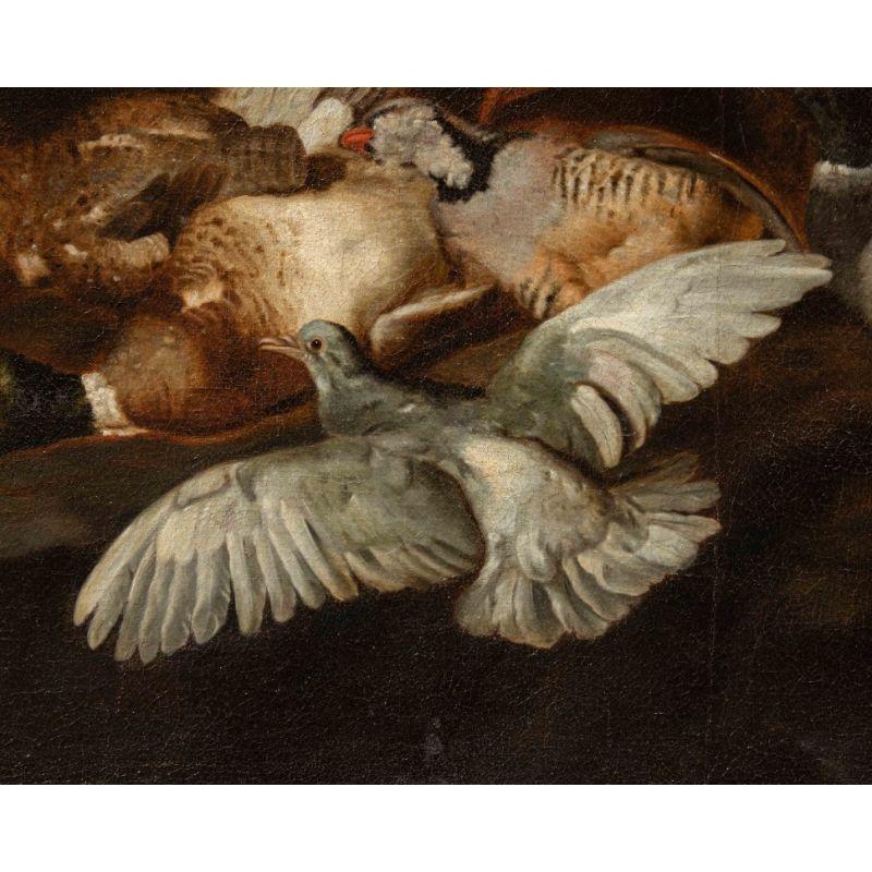 Dutch 17th Century Still Life with Birds Painting Oil on Canvas by Victors For Sale