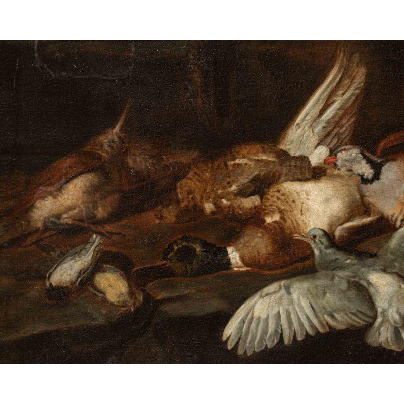 17th Century Still Life with Birds Painting Oil on Canvas by Victors In Good Condition For Sale In Milan, IT