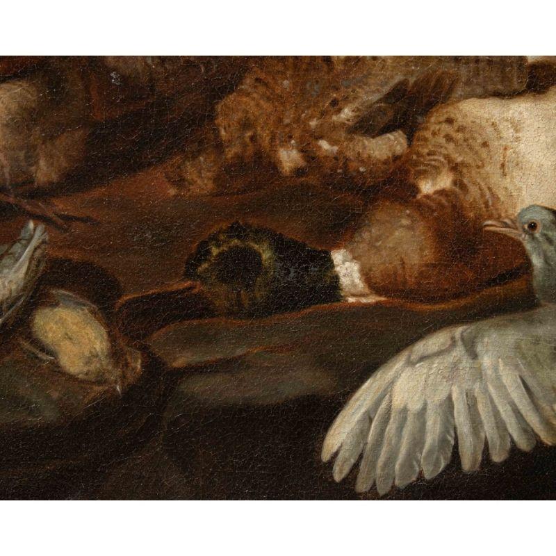 XVIIIe siècle et antérieur Nature morte du 17ème siècle avec oiseaux Peinture à l'huile sur toile de Victors en vente