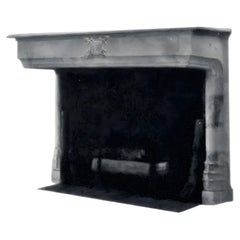 17th Century Stone Mantel, Gothic Design, Monumental Fireplace Element