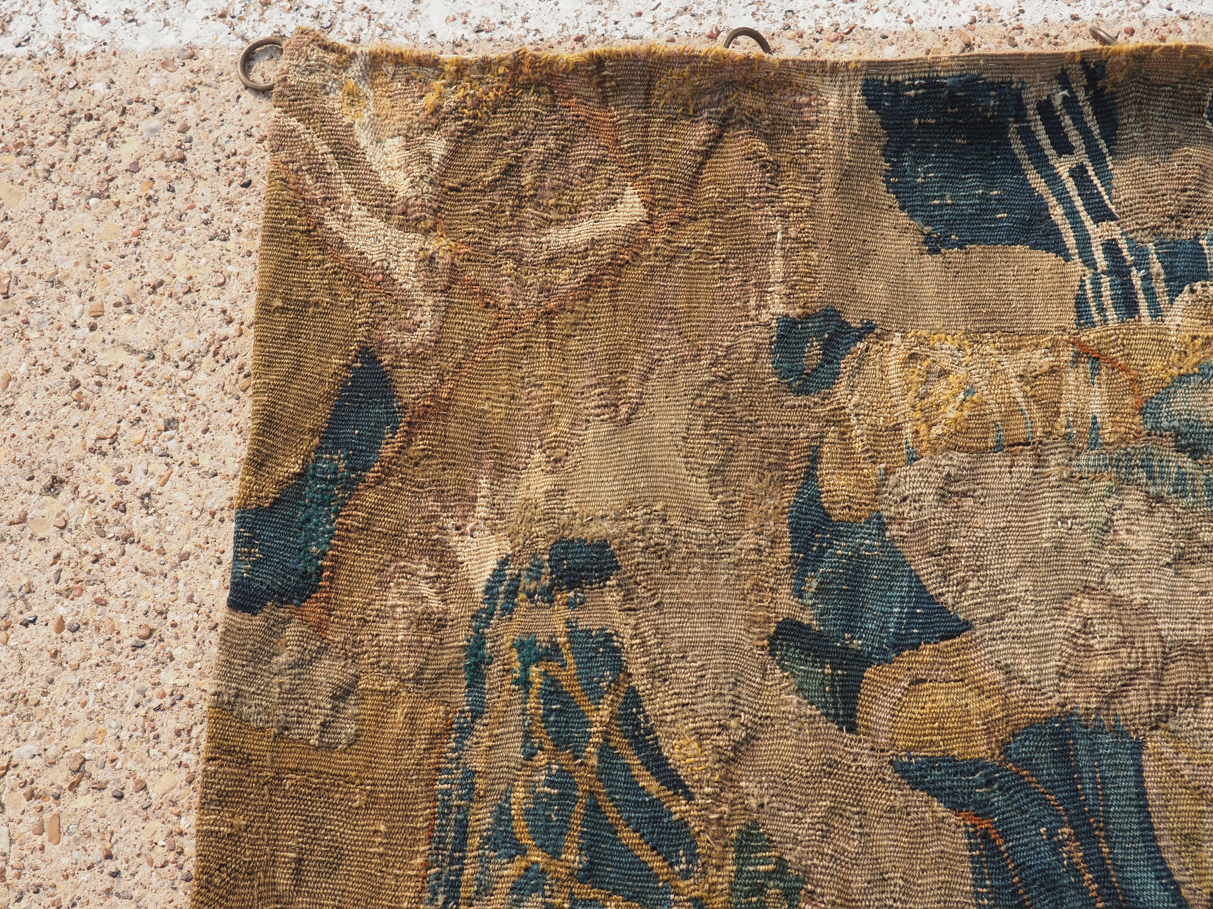 Belgian 17th Century Tapestry Fragment from Flanders