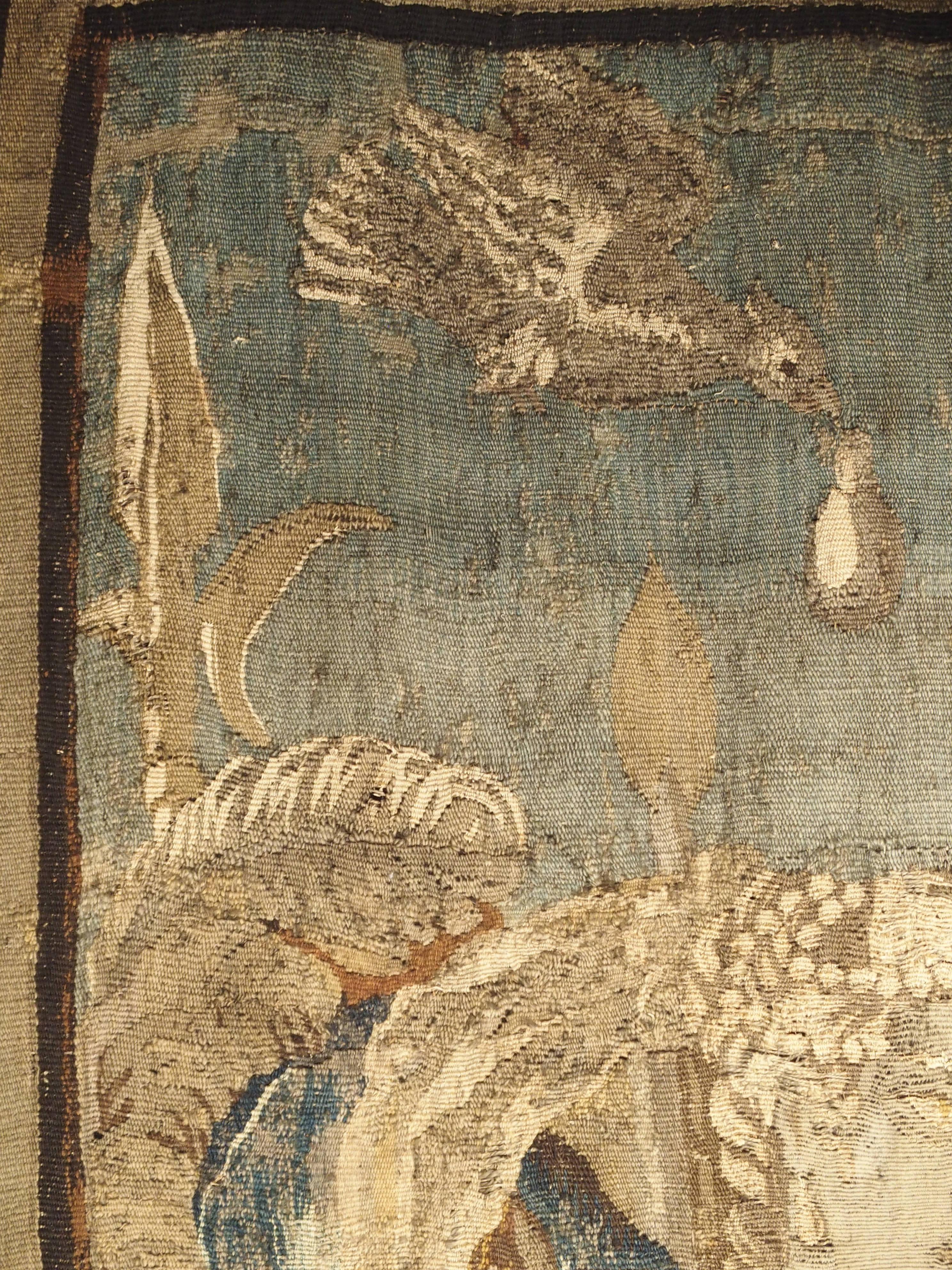 17th Century Tapestry Fragment with Ornate Border 3