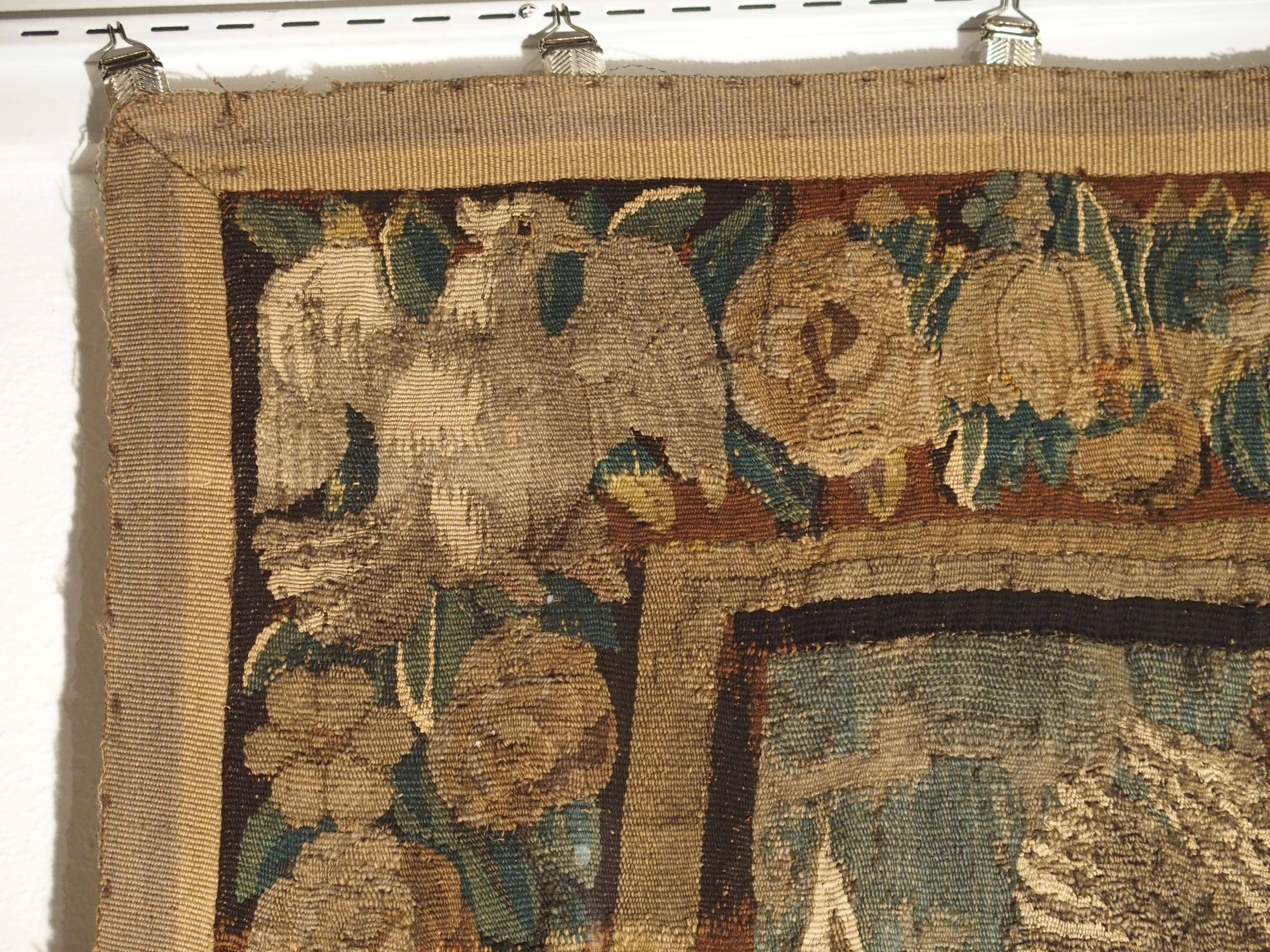 17th Century Tapestry Fragment with Ornate Border 4