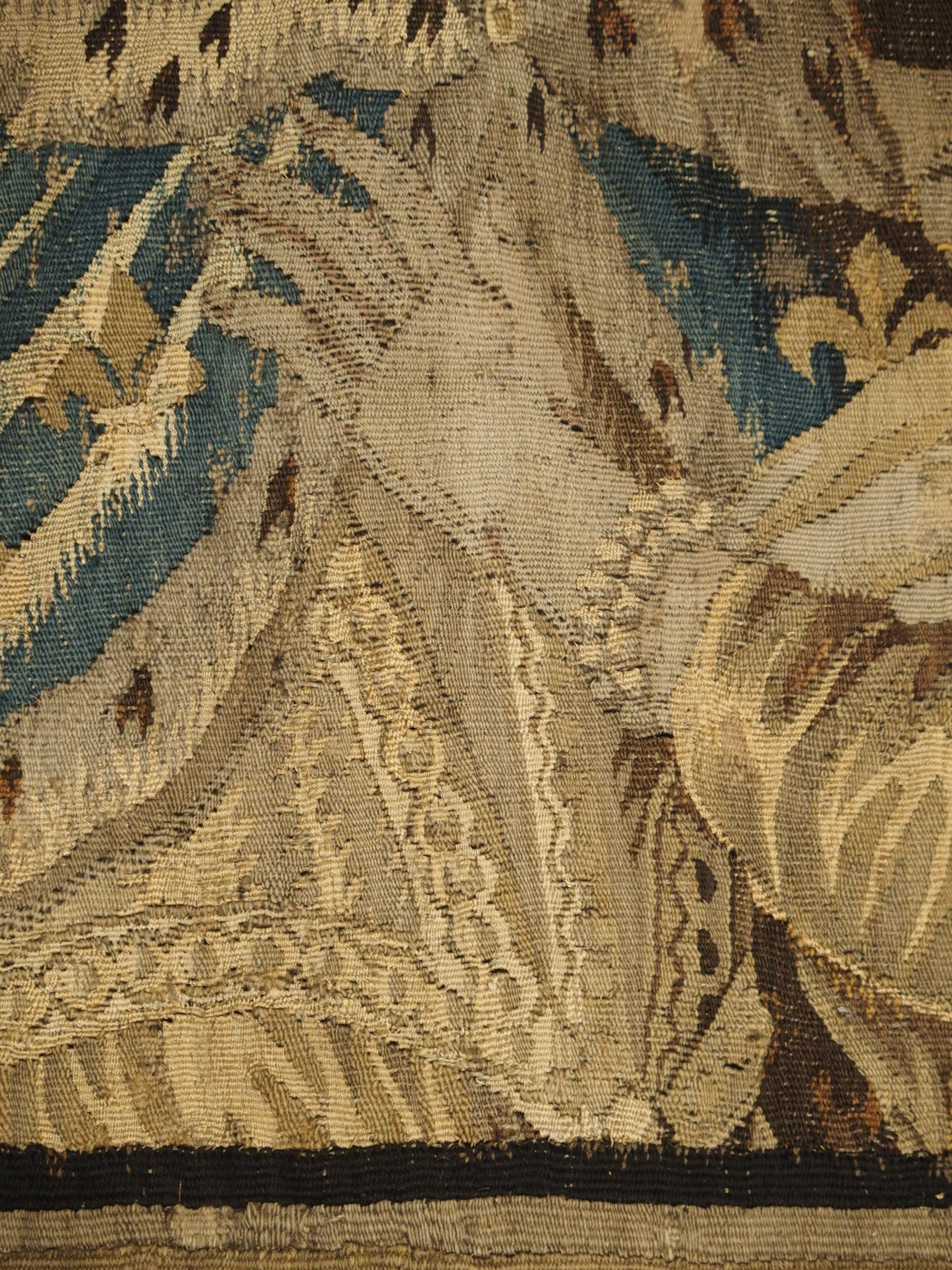 17th Century Tapestry Fragment with Ornate Border 6