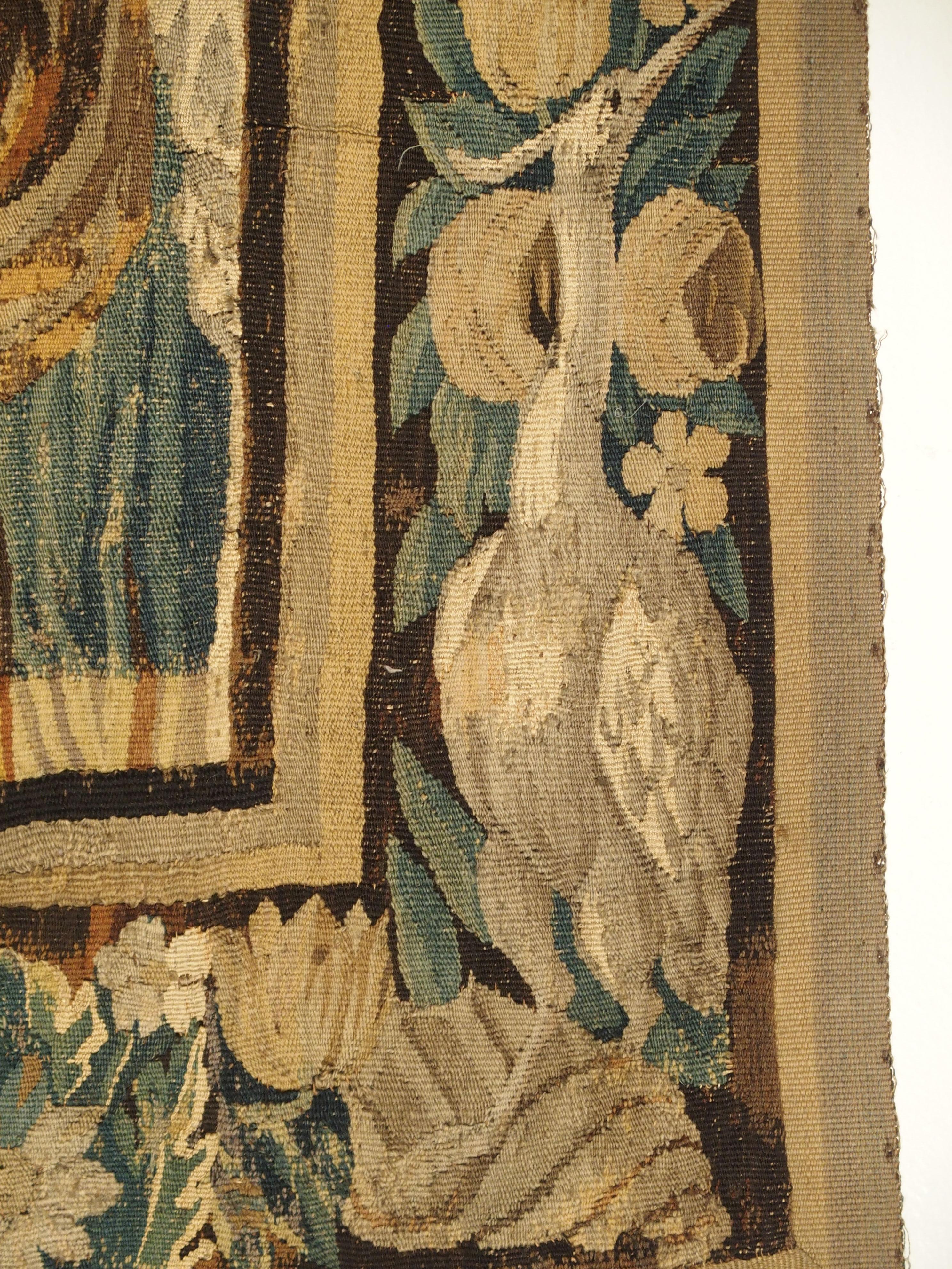 17th Century Tapestry Fragment with Ornate Border 7