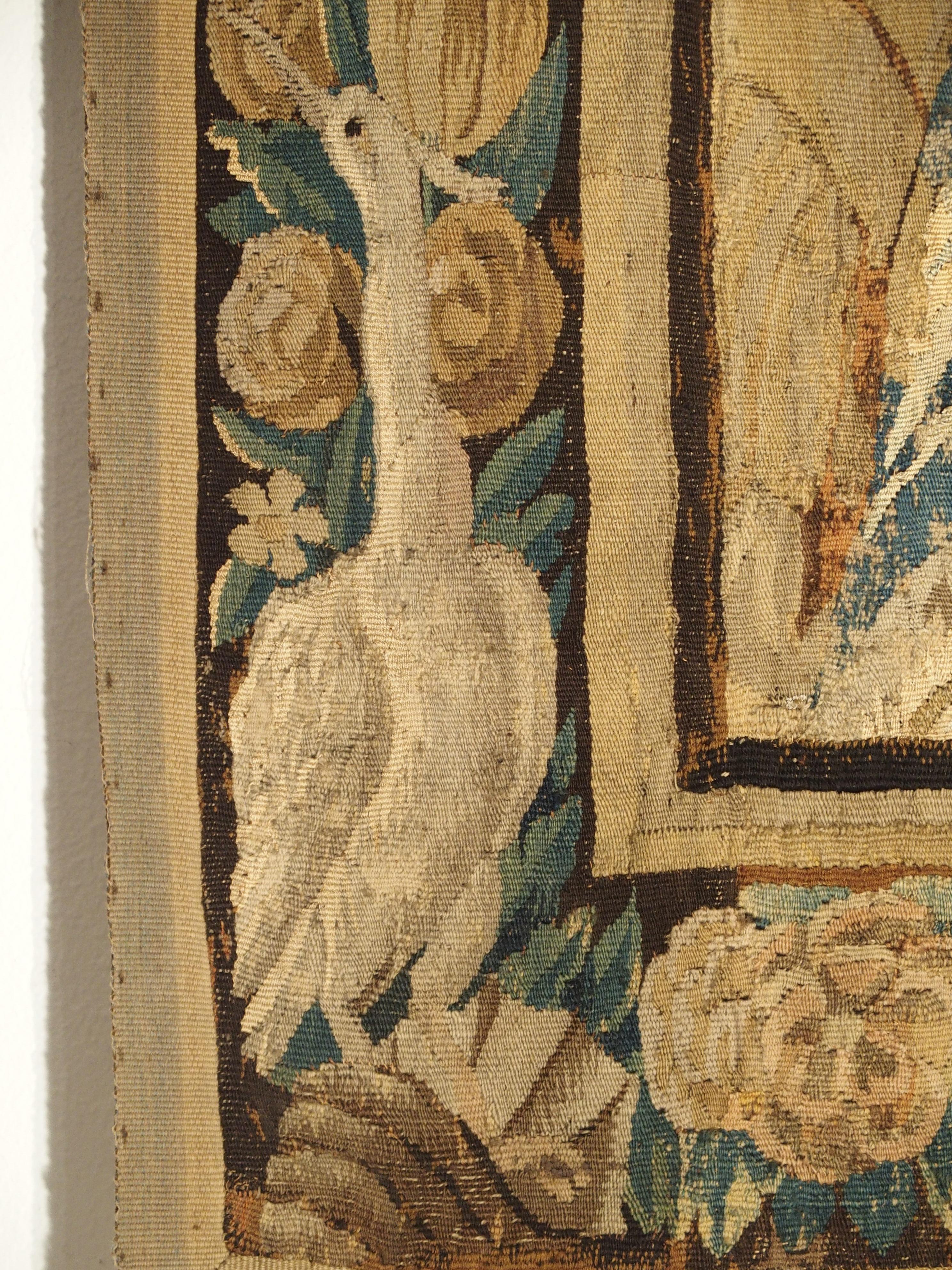 17th Century Tapestry Fragment with Ornate Border 2