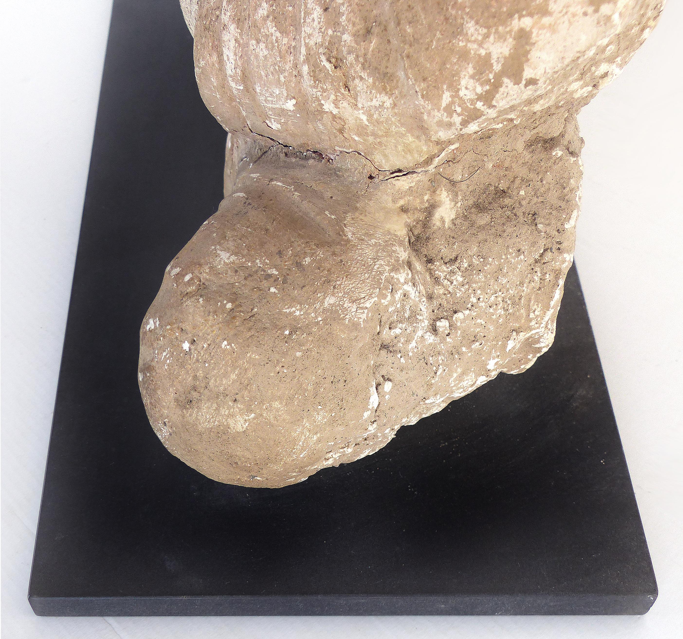 Terrakotta-Buddha aus dem 17. Jahrhundert, Bangladesch, Provenienz Royal-Athena Galleries im Angebot 3