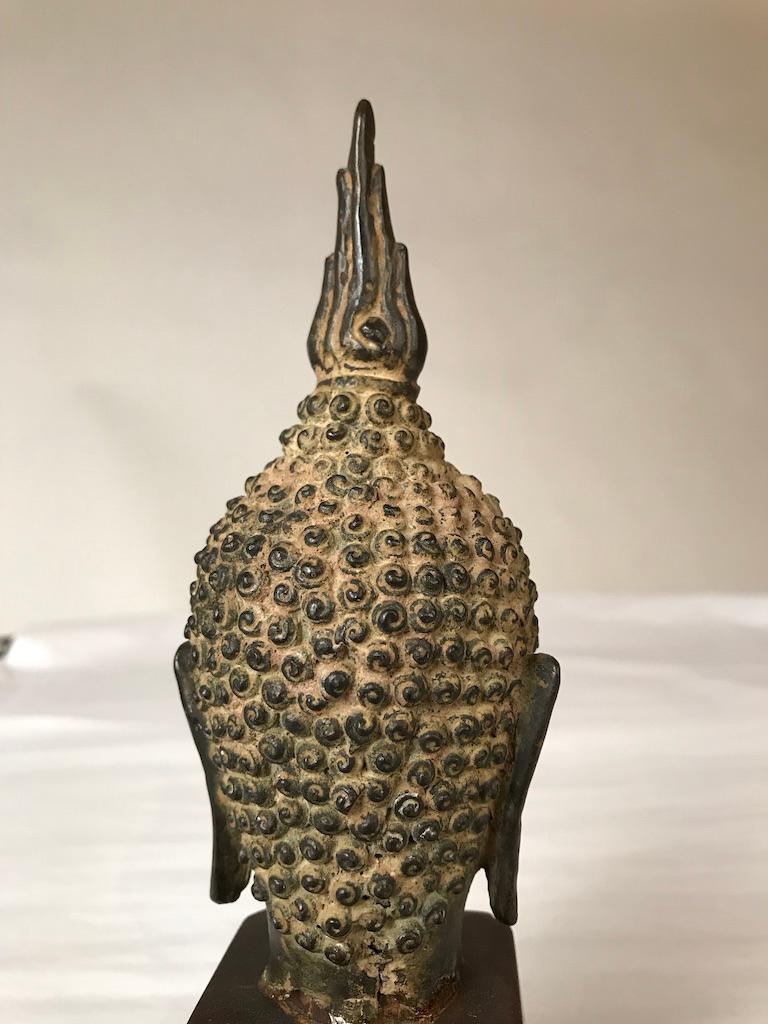 Tête de Bouddha en bronze thaïlandais du XVIIe siècle 7