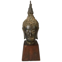 Tête de Bouddha en bronze thaïlandais du XVIIe siècle