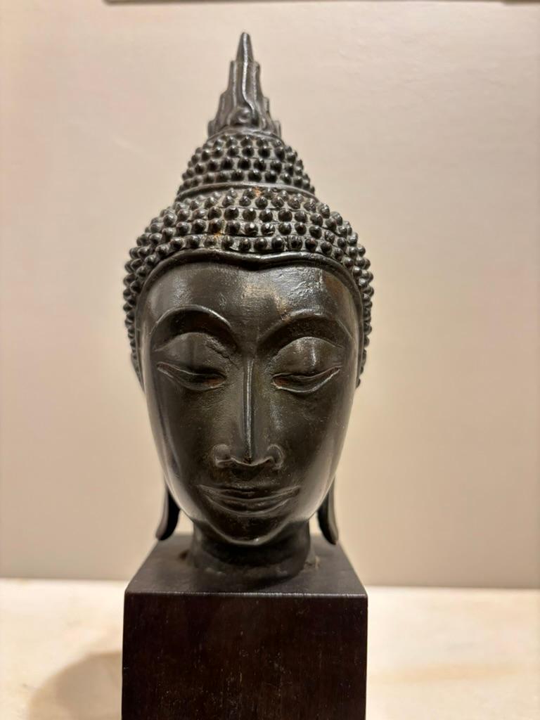 Altro Testa di Buddha in bronzo laccato tailandese del XVII secolo in vendita