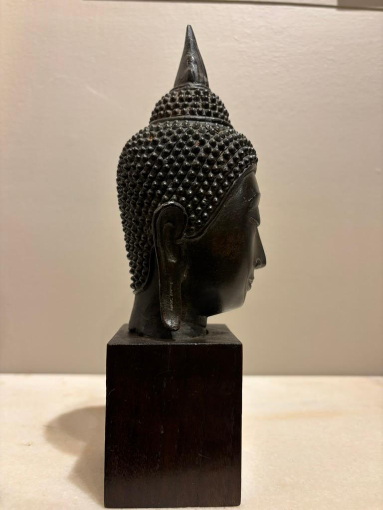Bronzo Testa di Buddha in bronzo laccato tailandese del XVII secolo in vendita