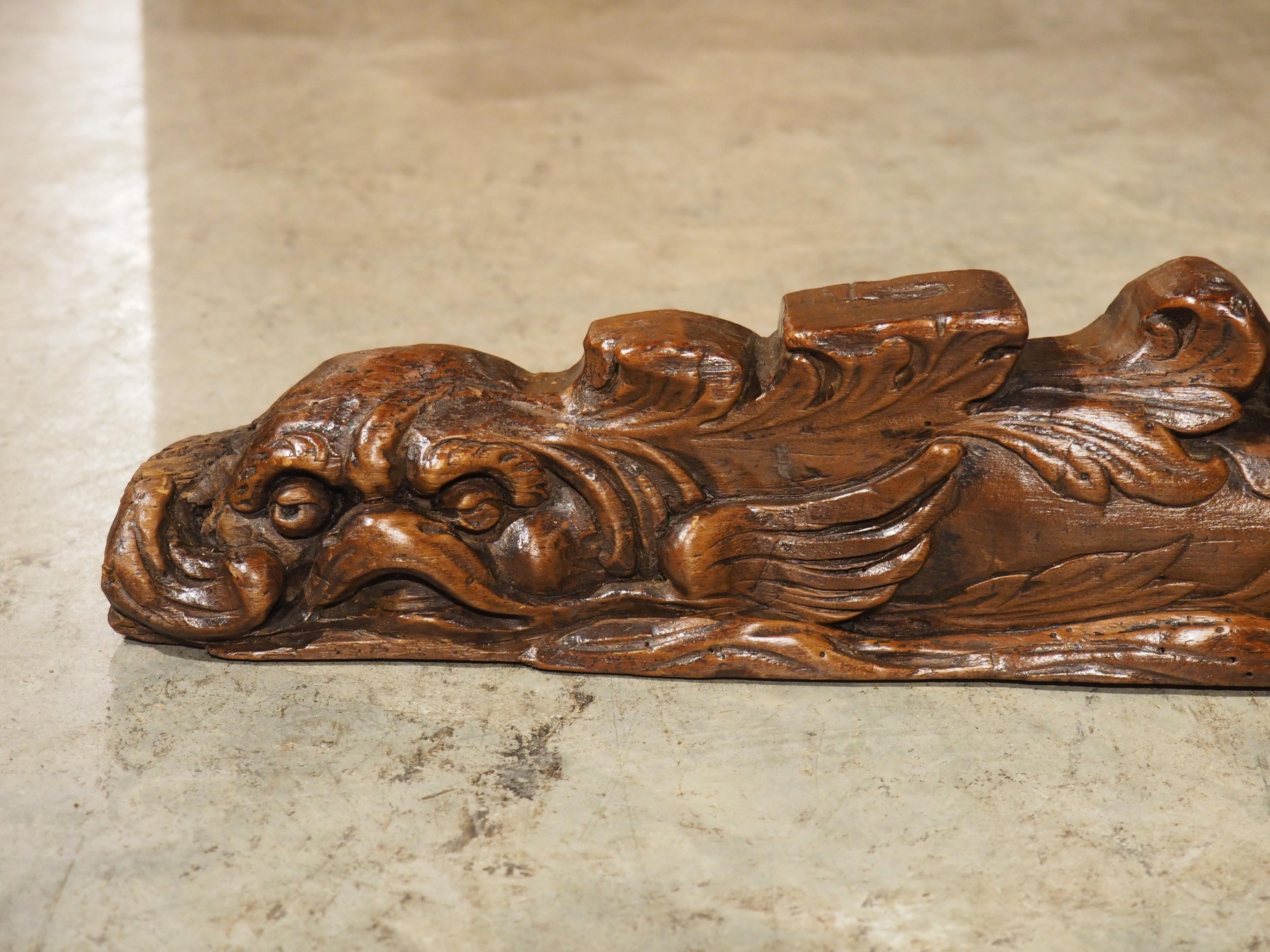 Dating to the 1600s, this wooden maritime carving from Amsterdam features a pair of asymmetrical dolphins with foliate tails. Interestingly, both dolphins have been carved in the vein of a flatfish, with migrated eyes, meaning both eyes are visible