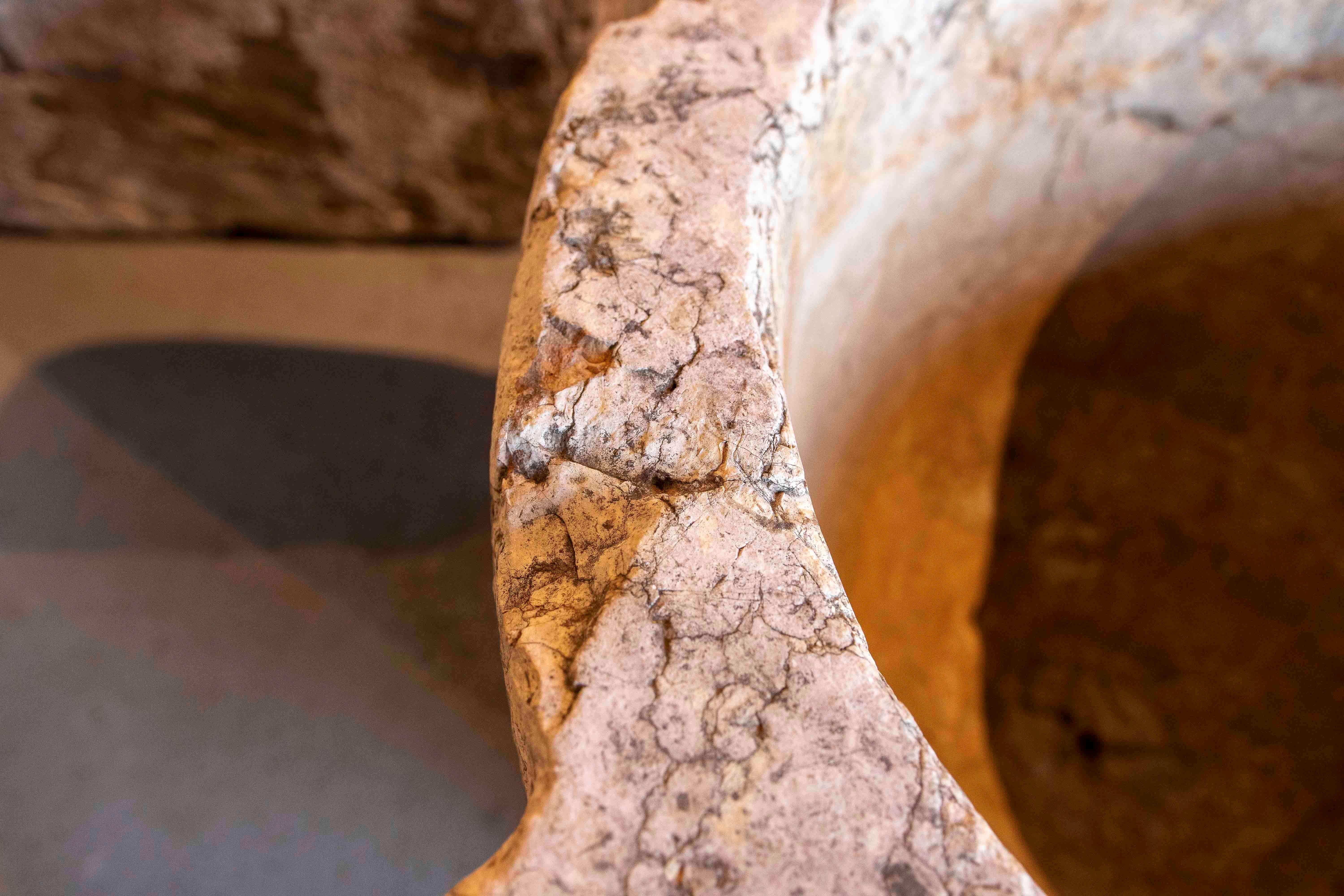 17th Giant Stone Mortar with Latin Inscription. For Sale 9