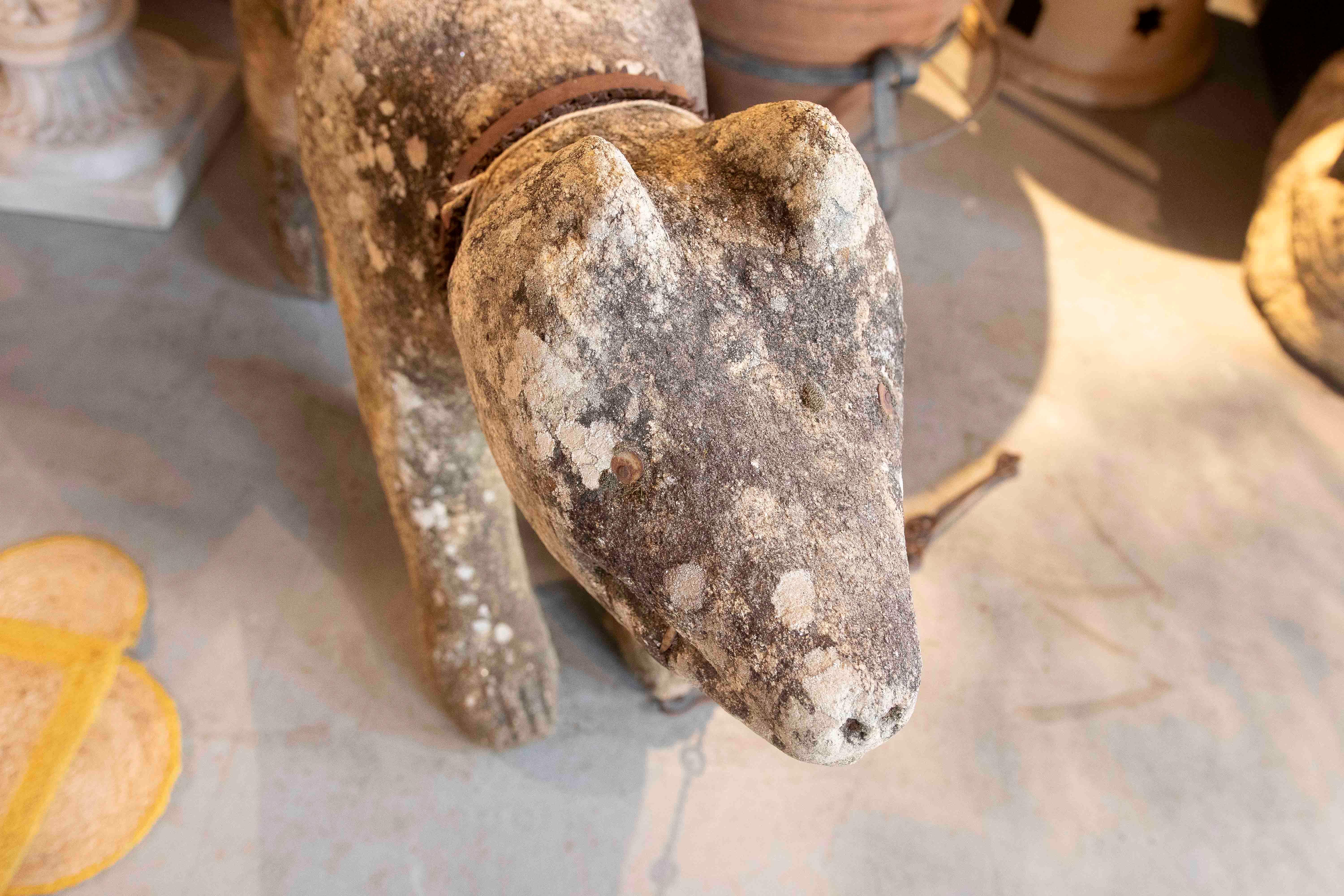 17th Iron Carved Sculpture of Dog in Granite with Details, Portugal 7