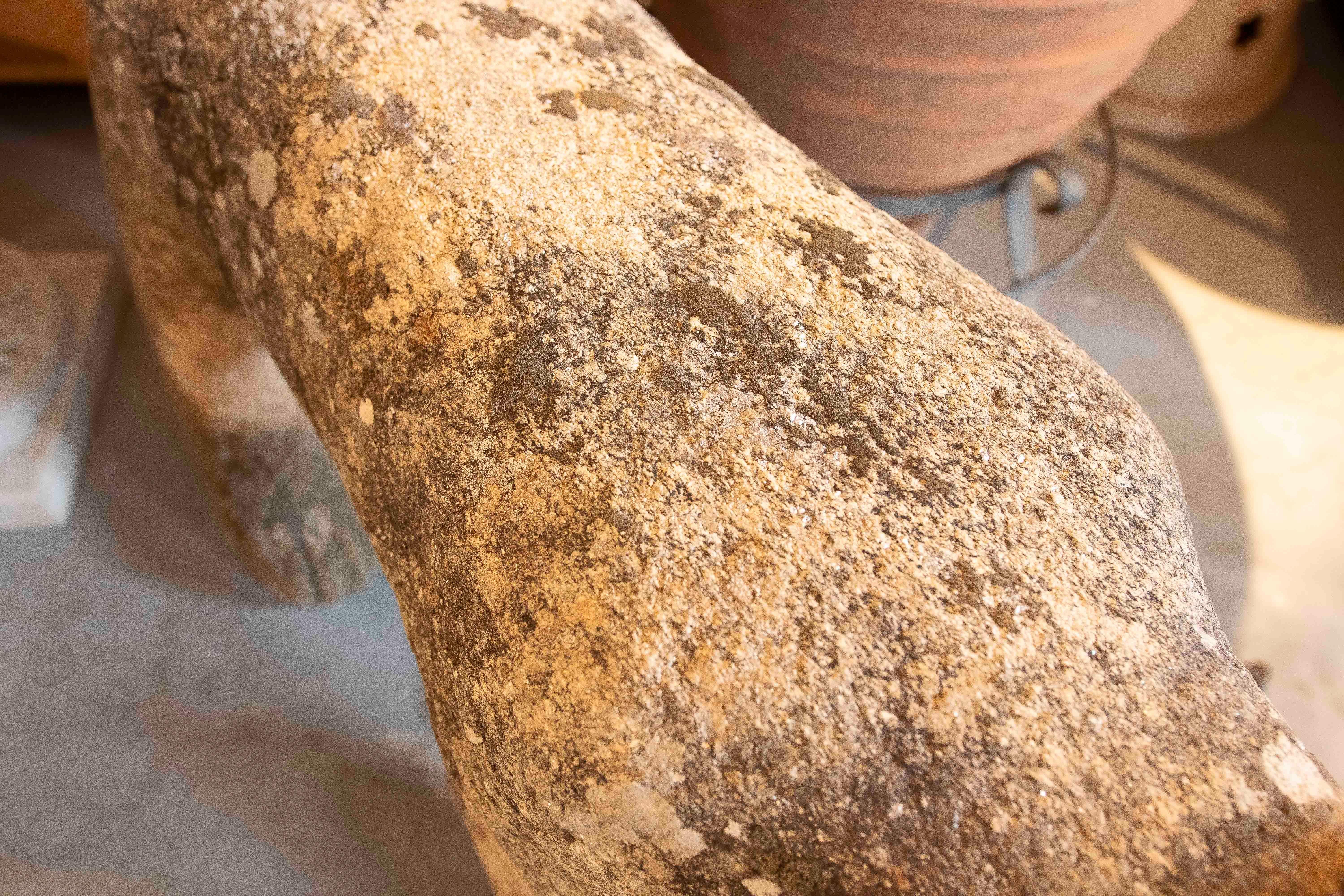 17th Iron Carved Sculpture of Dog in Granite with Details, Portugal 8