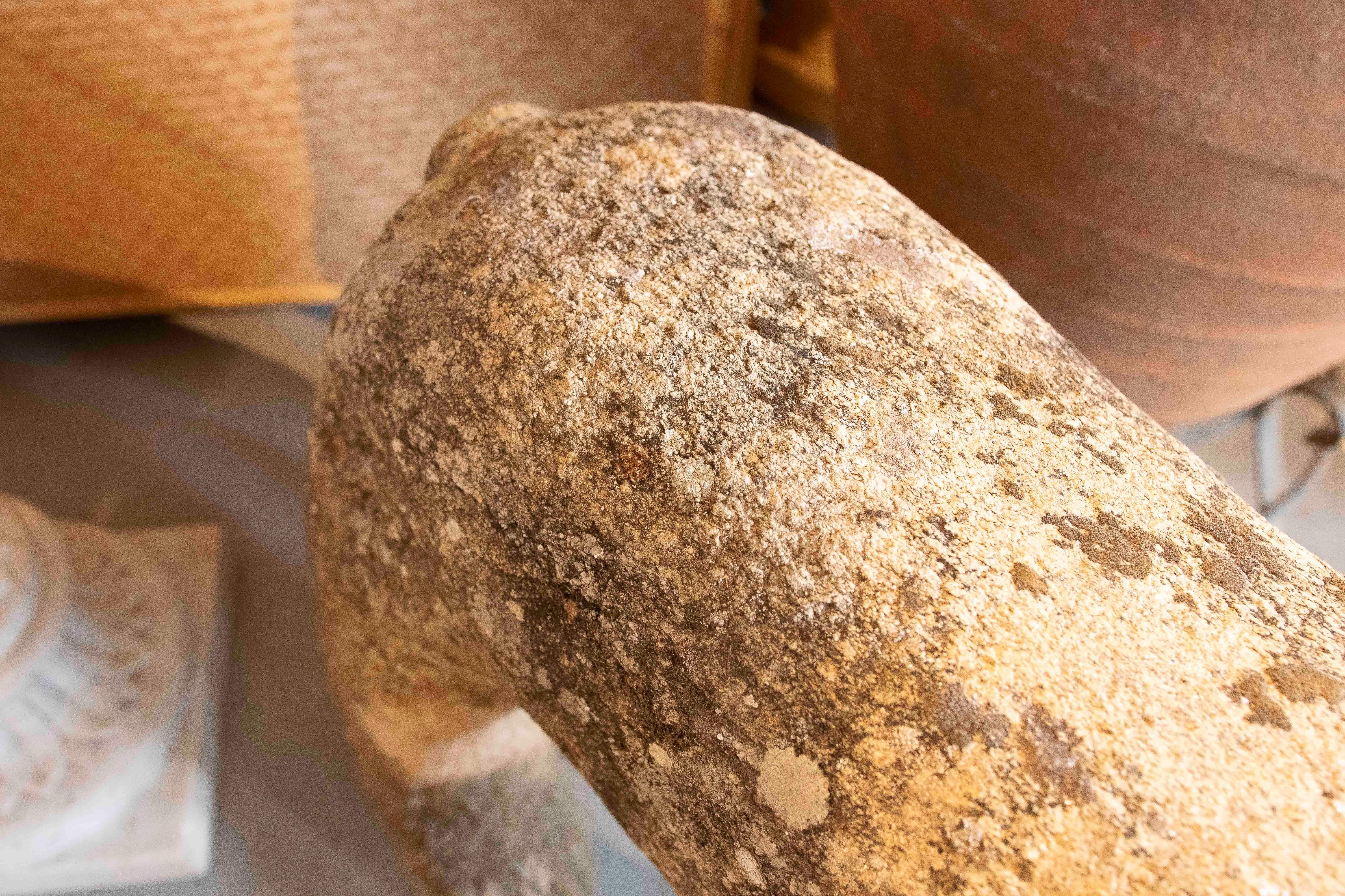 17th Iron Carved Sculpture of Dog in Granite with Details, Portugal 9