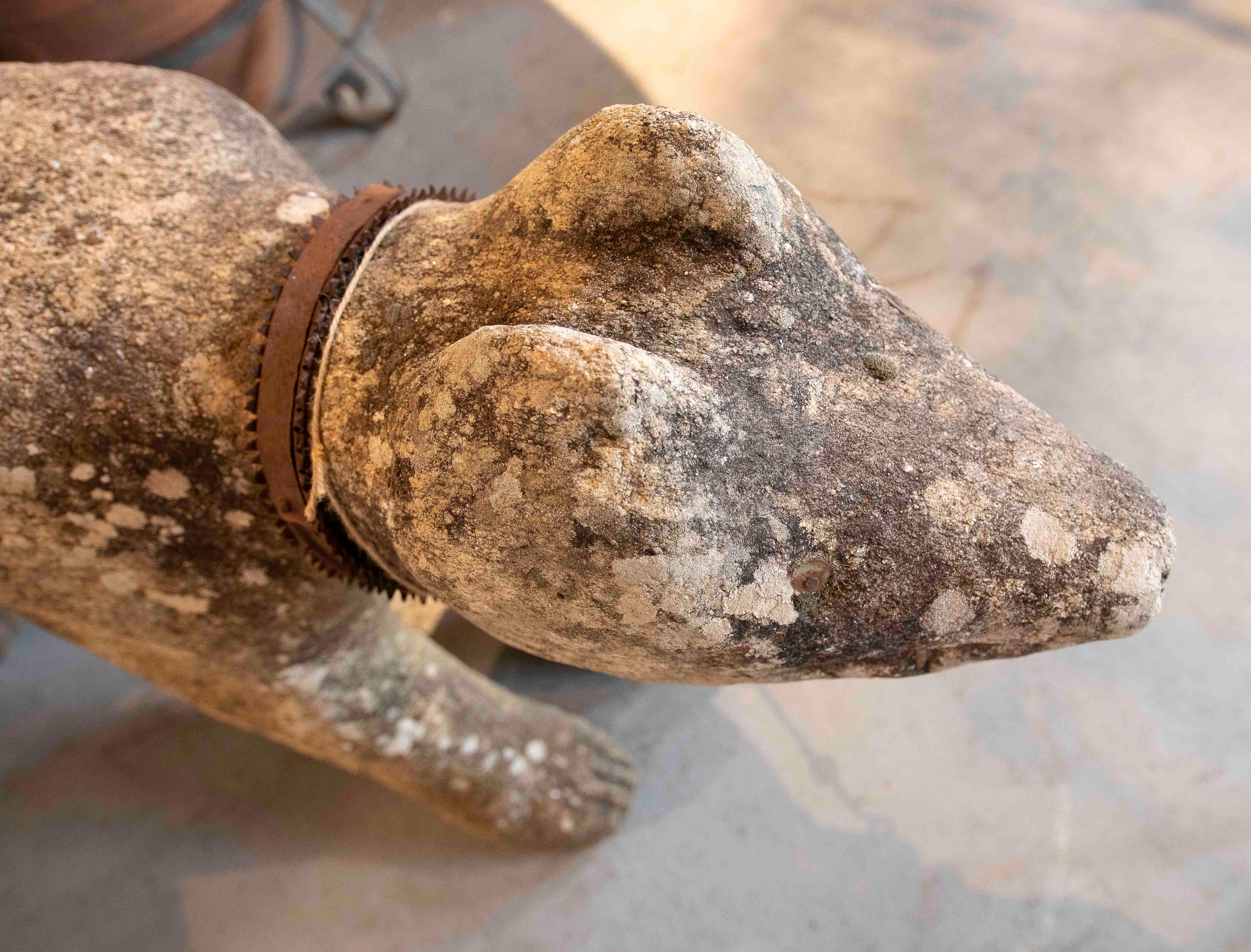 17th Iron Carved Sculpture of Dog in Granite with Details, Portugal 12