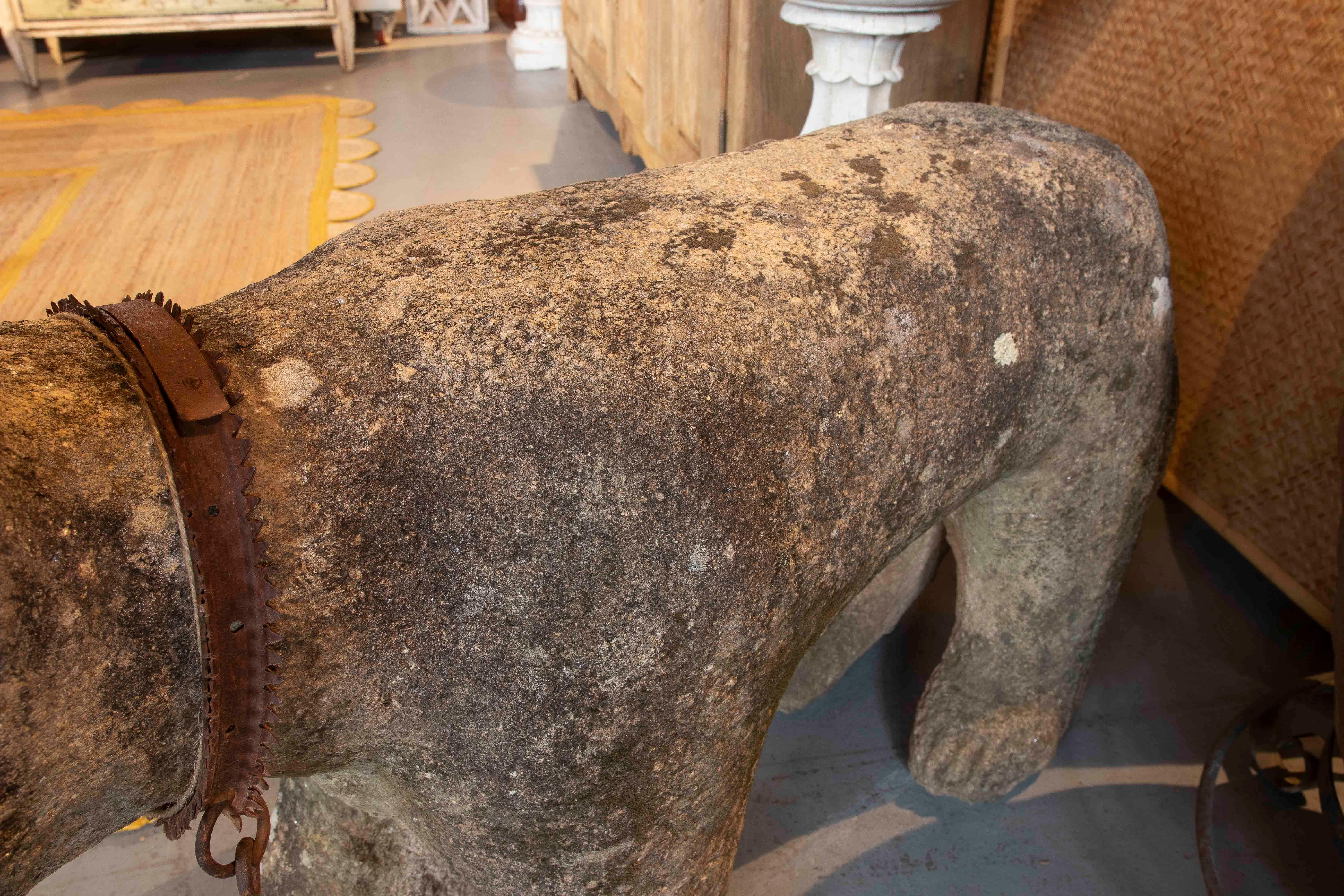 17th Iron Carved Sculpture of Dog in Granite with Details, Portugal 1