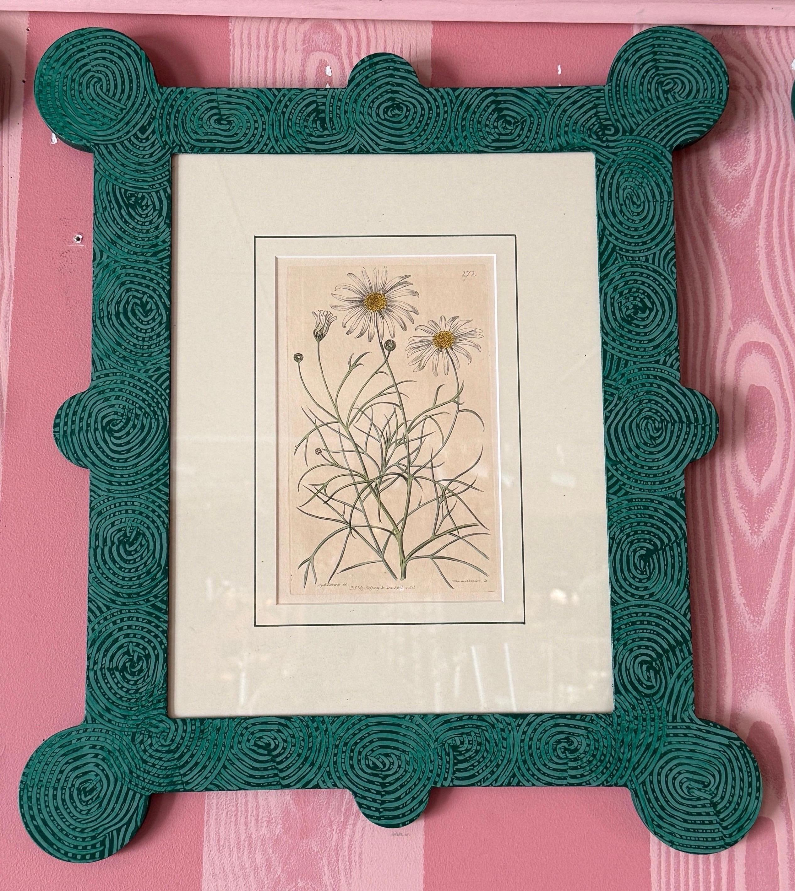 18-19th Cent Botanicals in benutzerdefinierten Hand gemalt Frames von Fabulous Things 14total im Angebot 5
