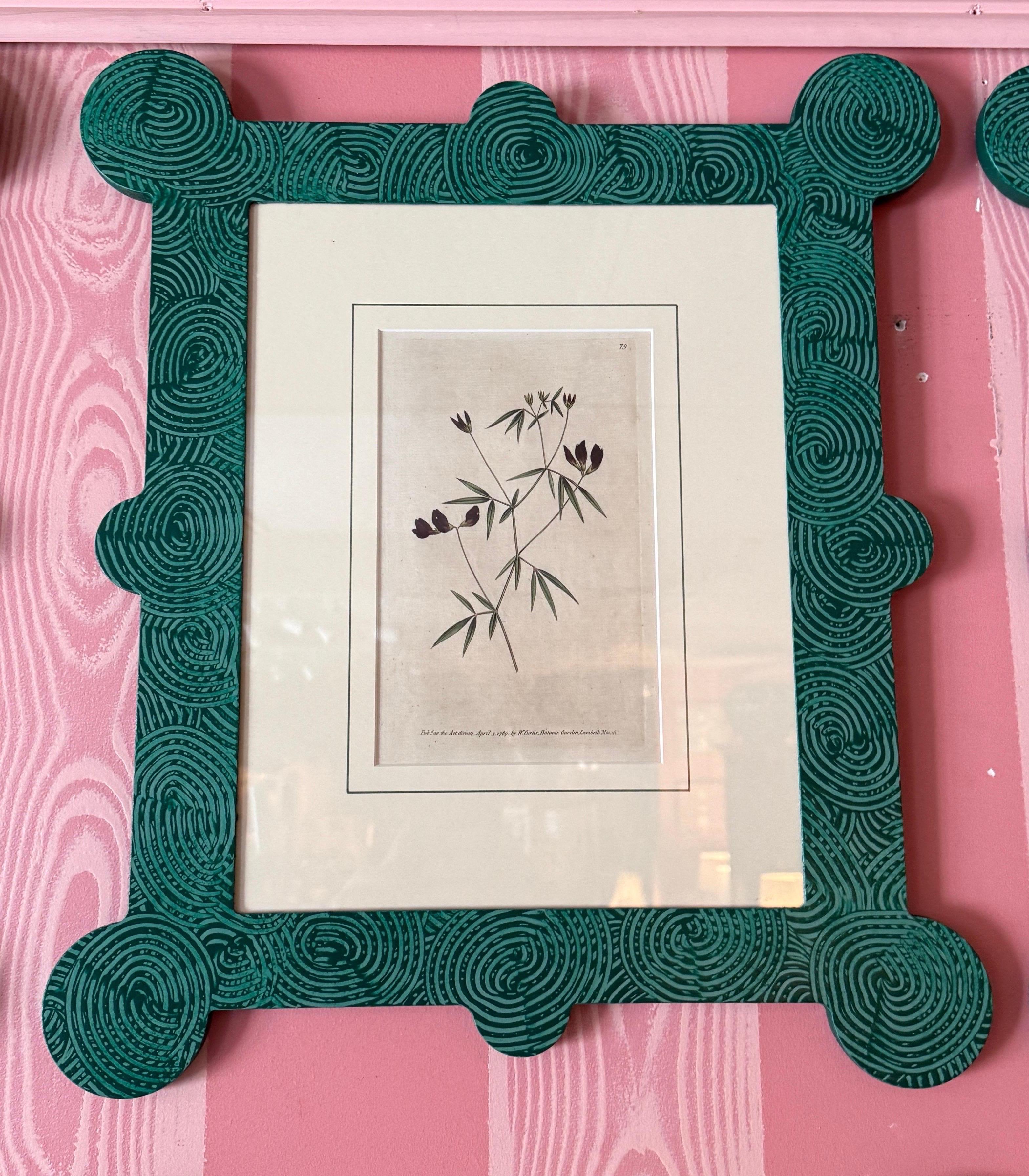 18-19th Cent Botanicals in benutzerdefinierten Hand gemalt Frames von Fabulous Things 14total im Angebot 6