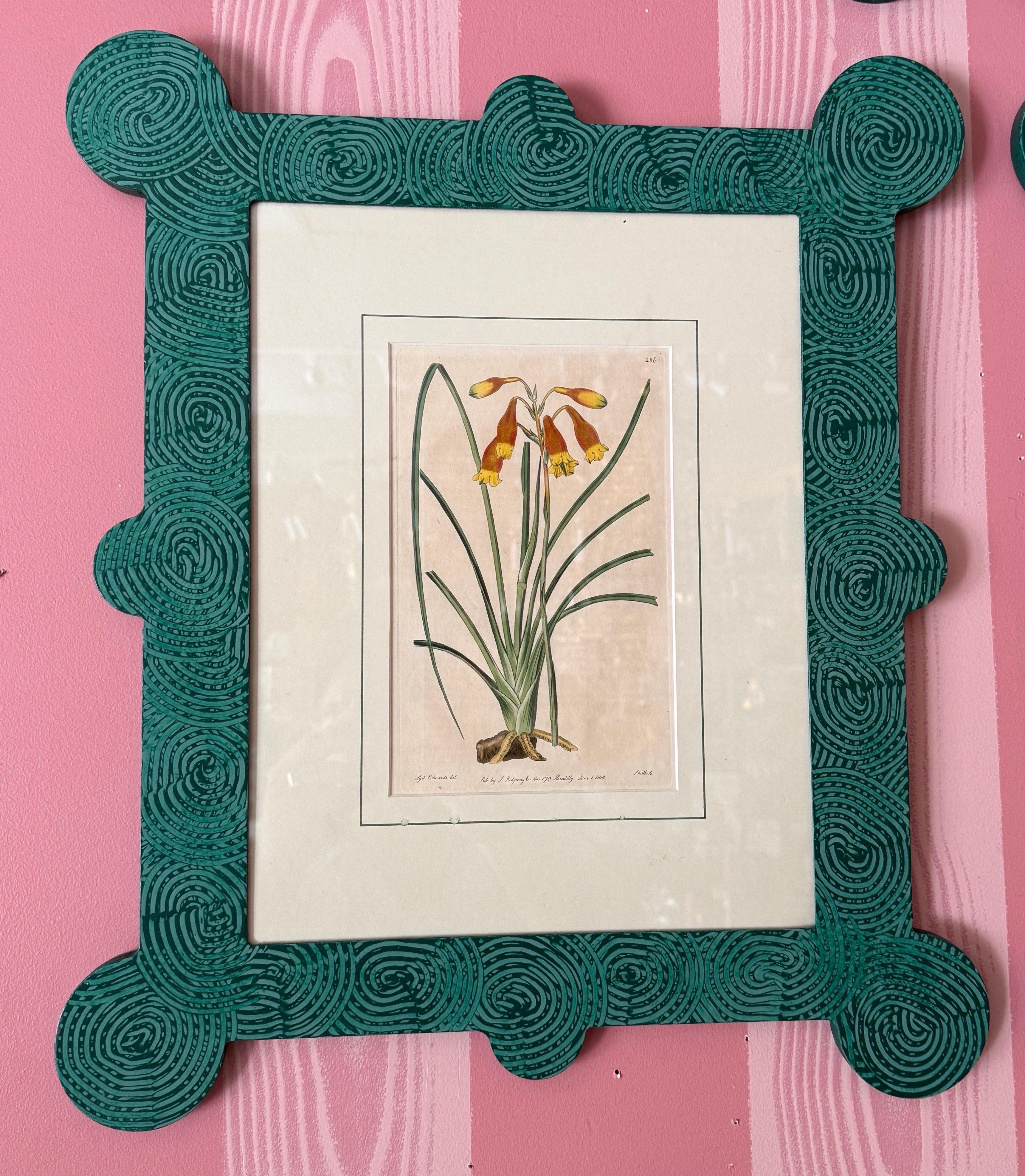 18-19th Cent Botanicals in benutzerdefinierten Hand gemalt Frames von Fabulous Things 14total im Angebot 7