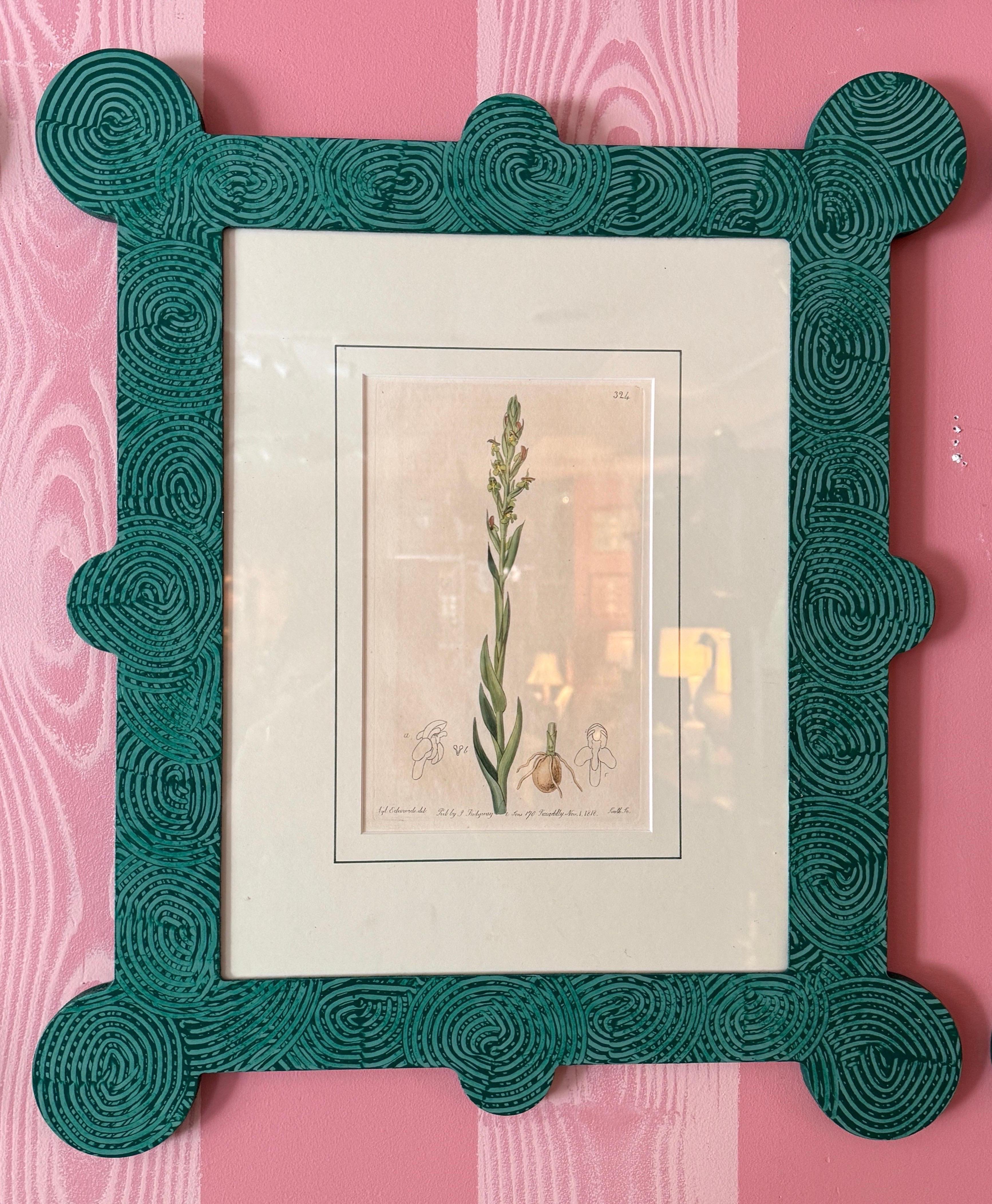 18-19th Cent Botanicals in benutzerdefinierten Hand gemalt Frames von Fabulous Things 14total im Angebot 8