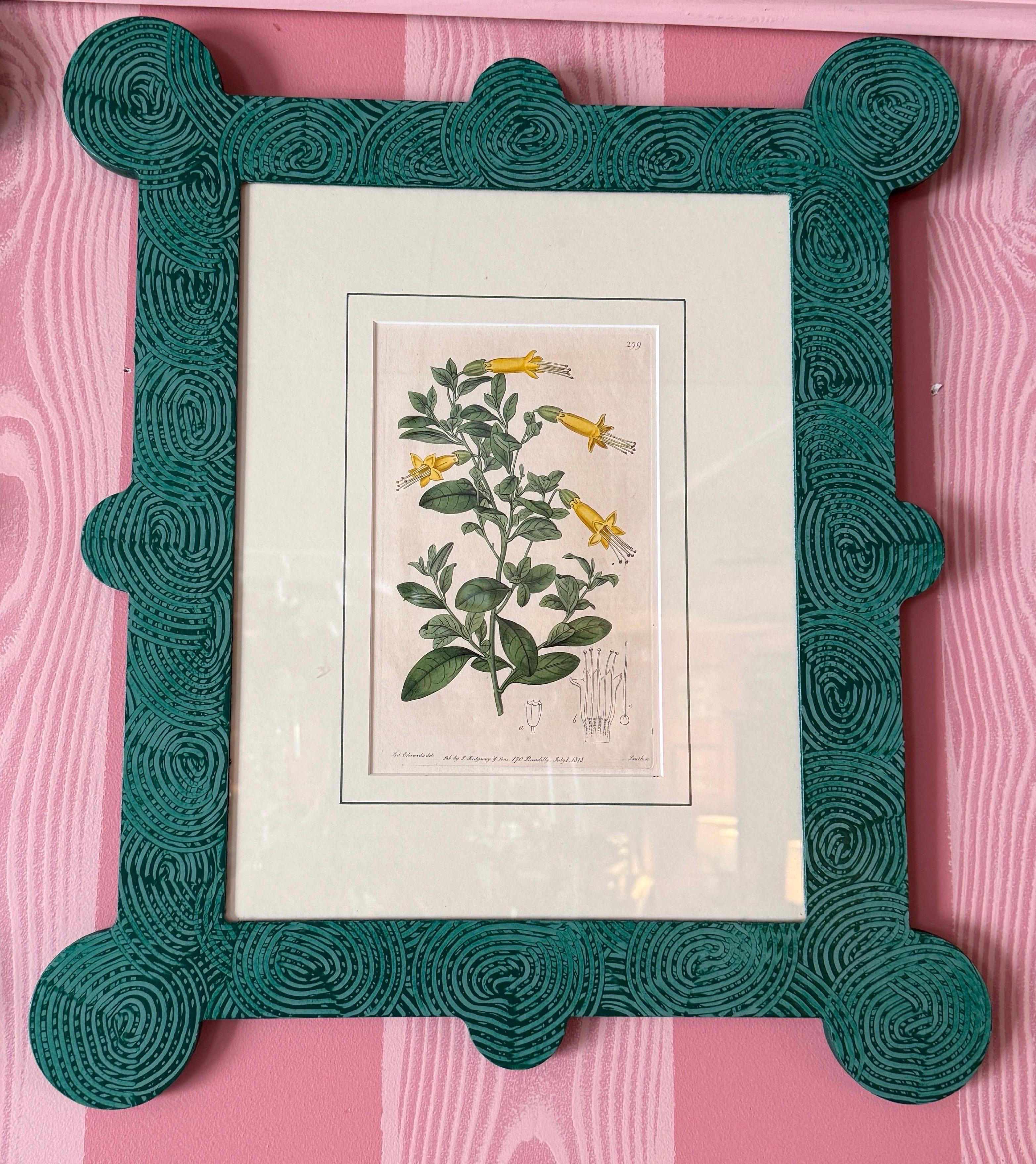 18-19th Cent Botanicals in benutzerdefinierten Hand gemalt Frames von Fabulous Things 14total im Angebot 9