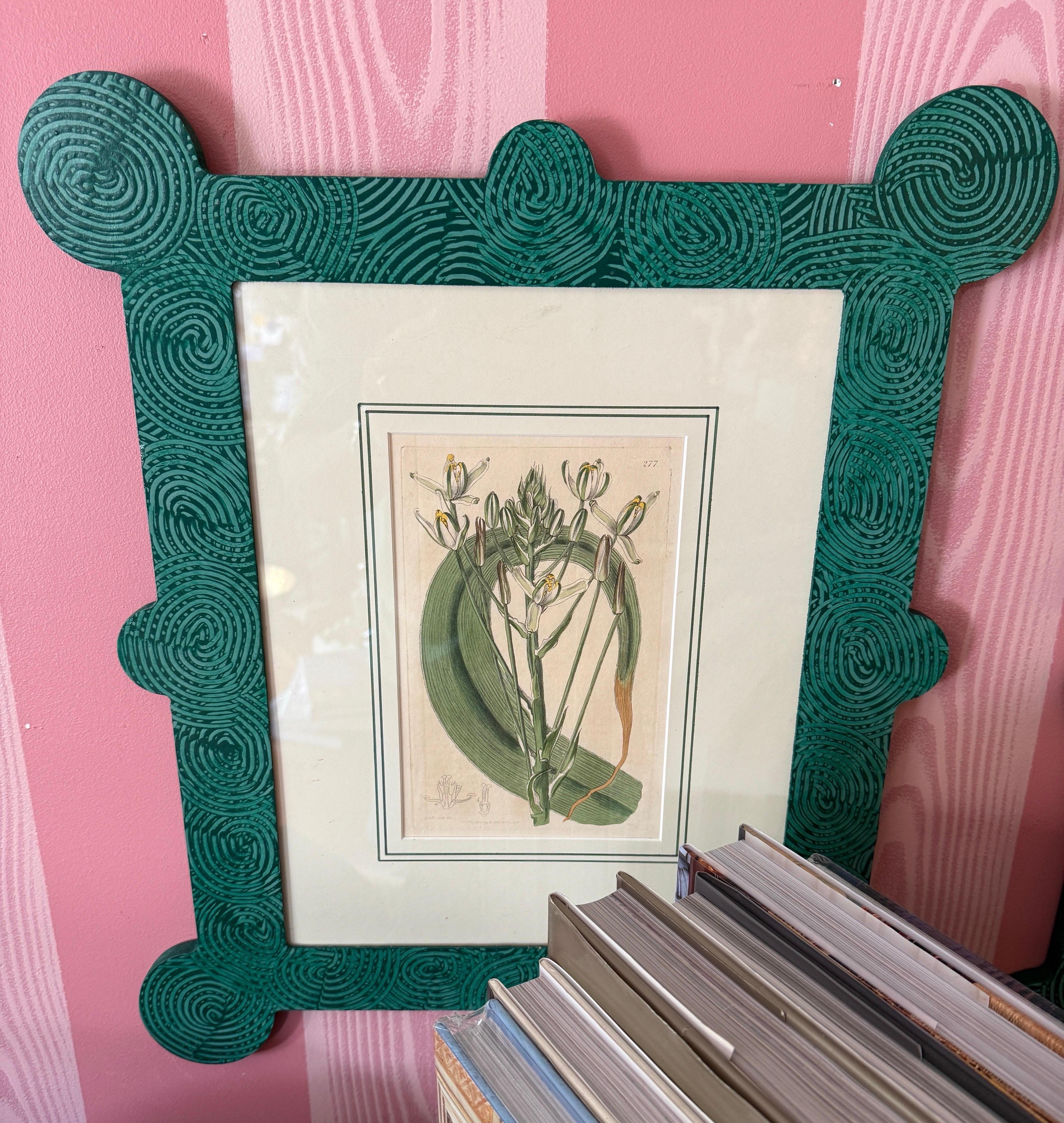 18-19th Cent Botanicals in benutzerdefinierten Hand gemalt Frames von Fabulous Things 14total im Angebot 10