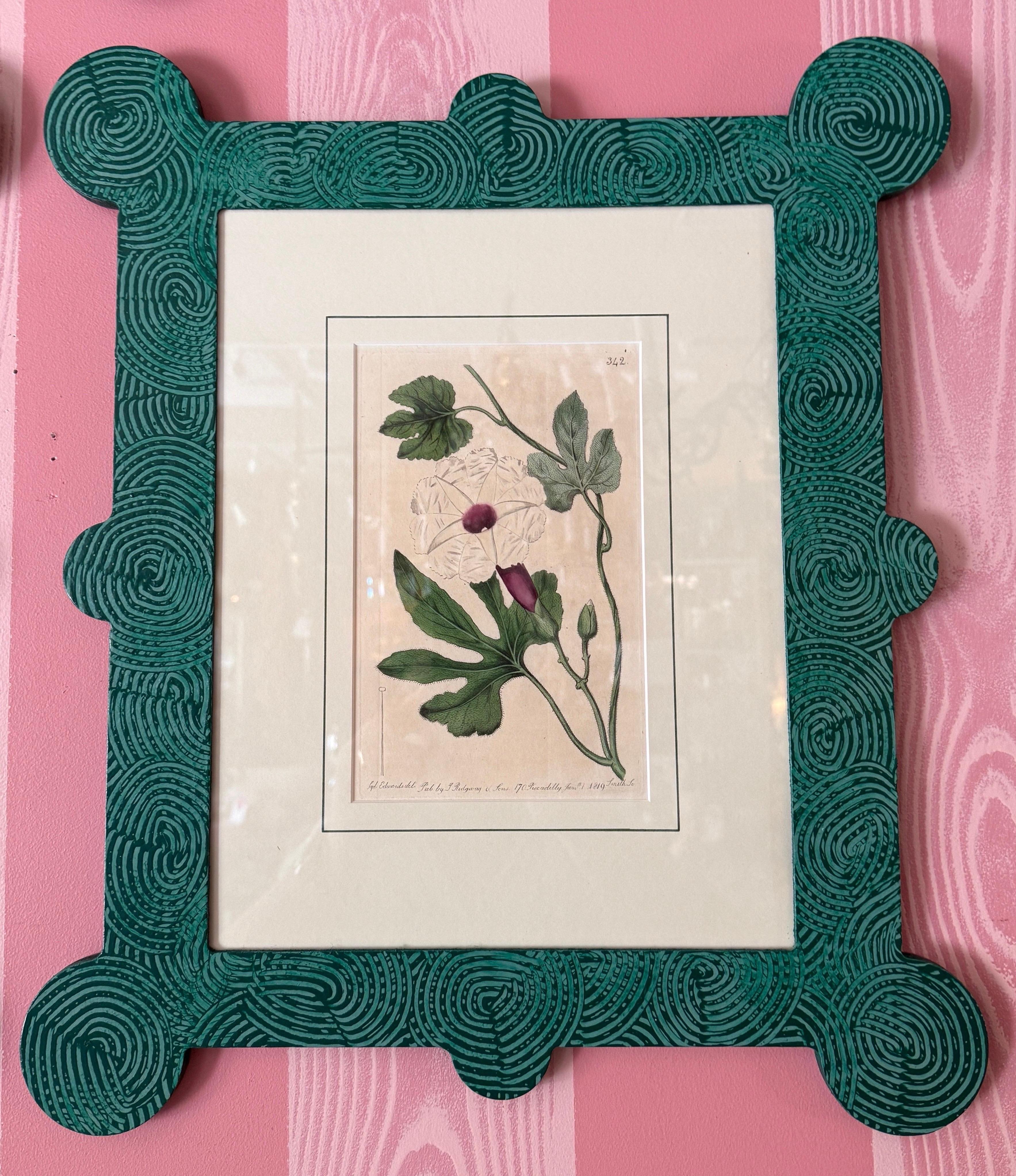 18-19th Cent Botanicals in benutzerdefinierten Hand gemalt Frames von Fabulous Things 14total im Angebot 11