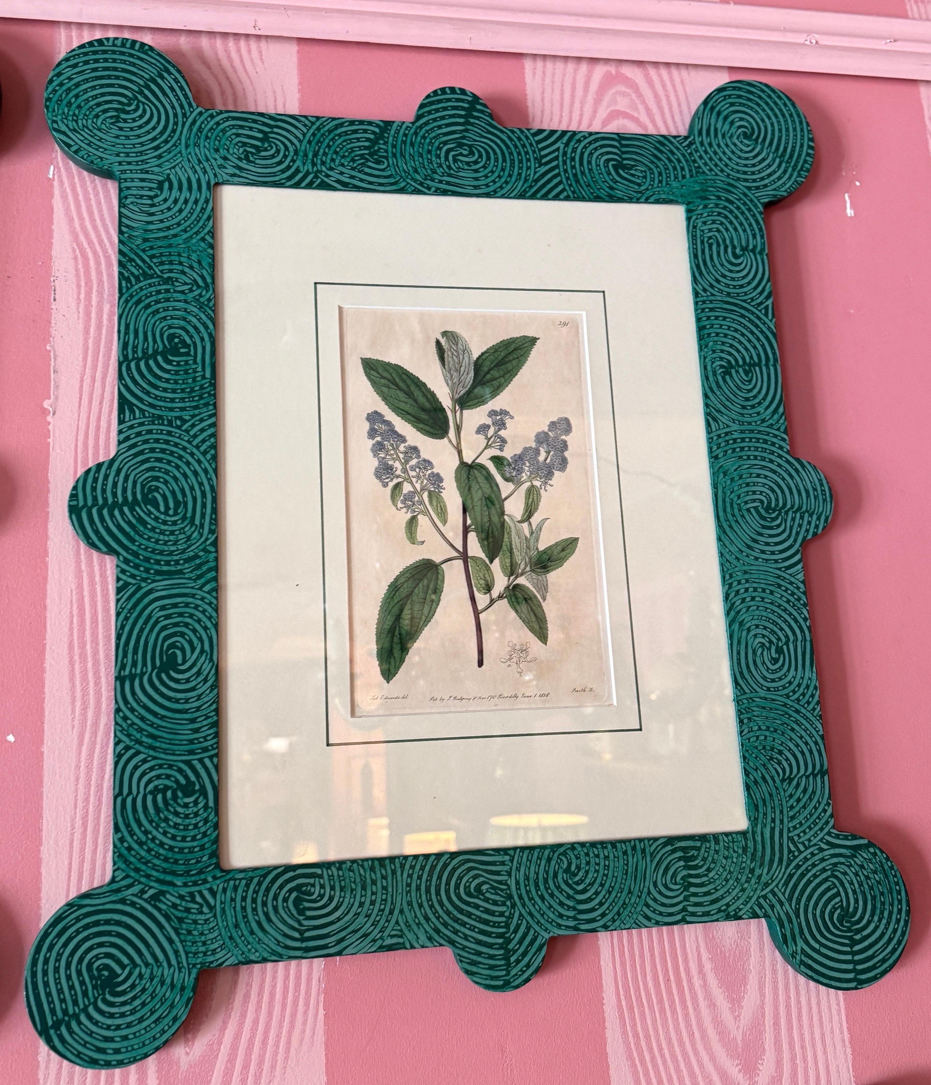 18-19th Cent Botanicals in benutzerdefinierten Hand gemalt Frames von Fabulous Things 14total im Angebot 12