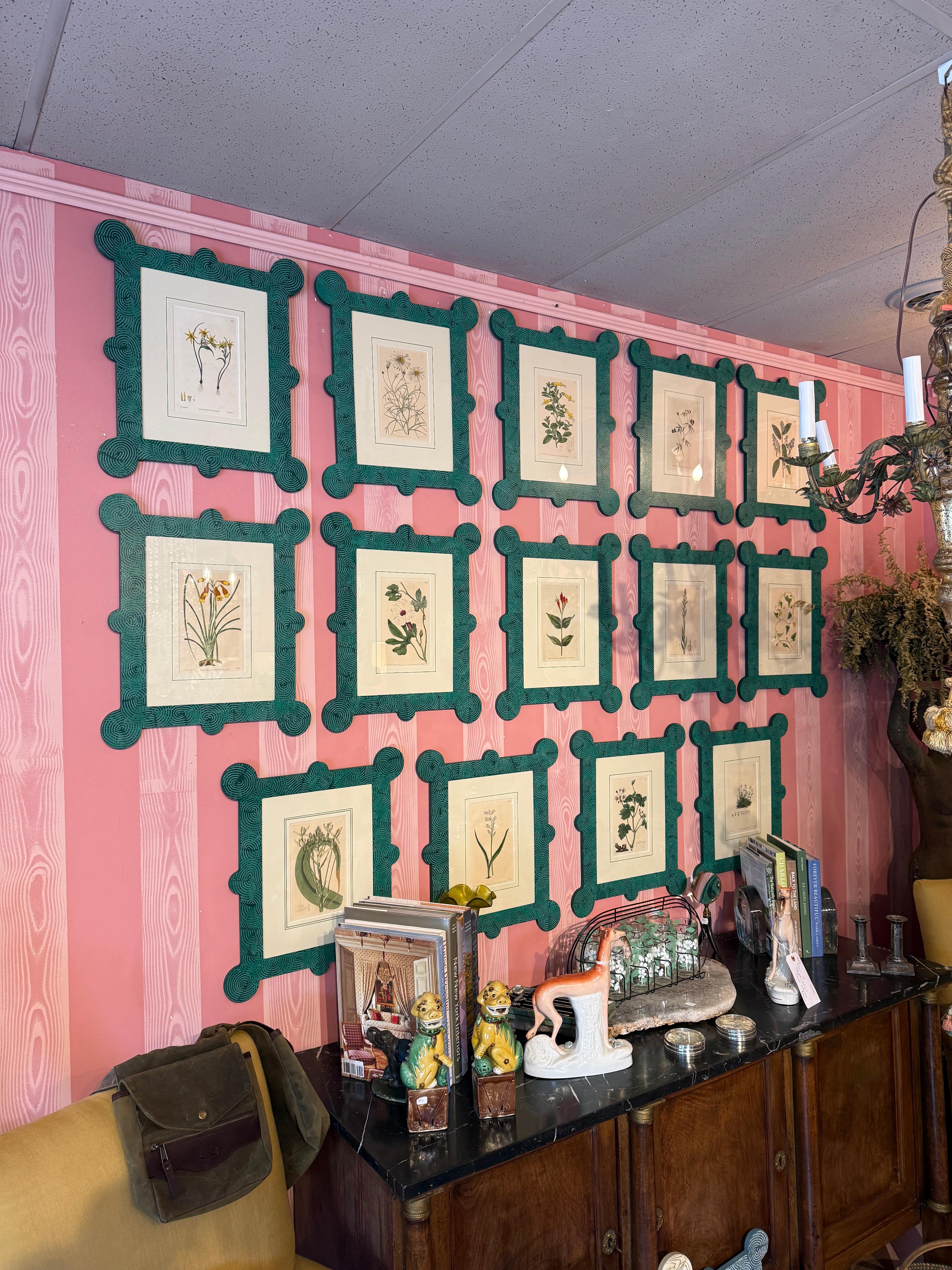 18-19th Cent Botanicals in benutzerdefinierten Hand gemalt Frames von Fabulous Things 14total im Zustand „Gut“ im Angebot in Richmond, VA