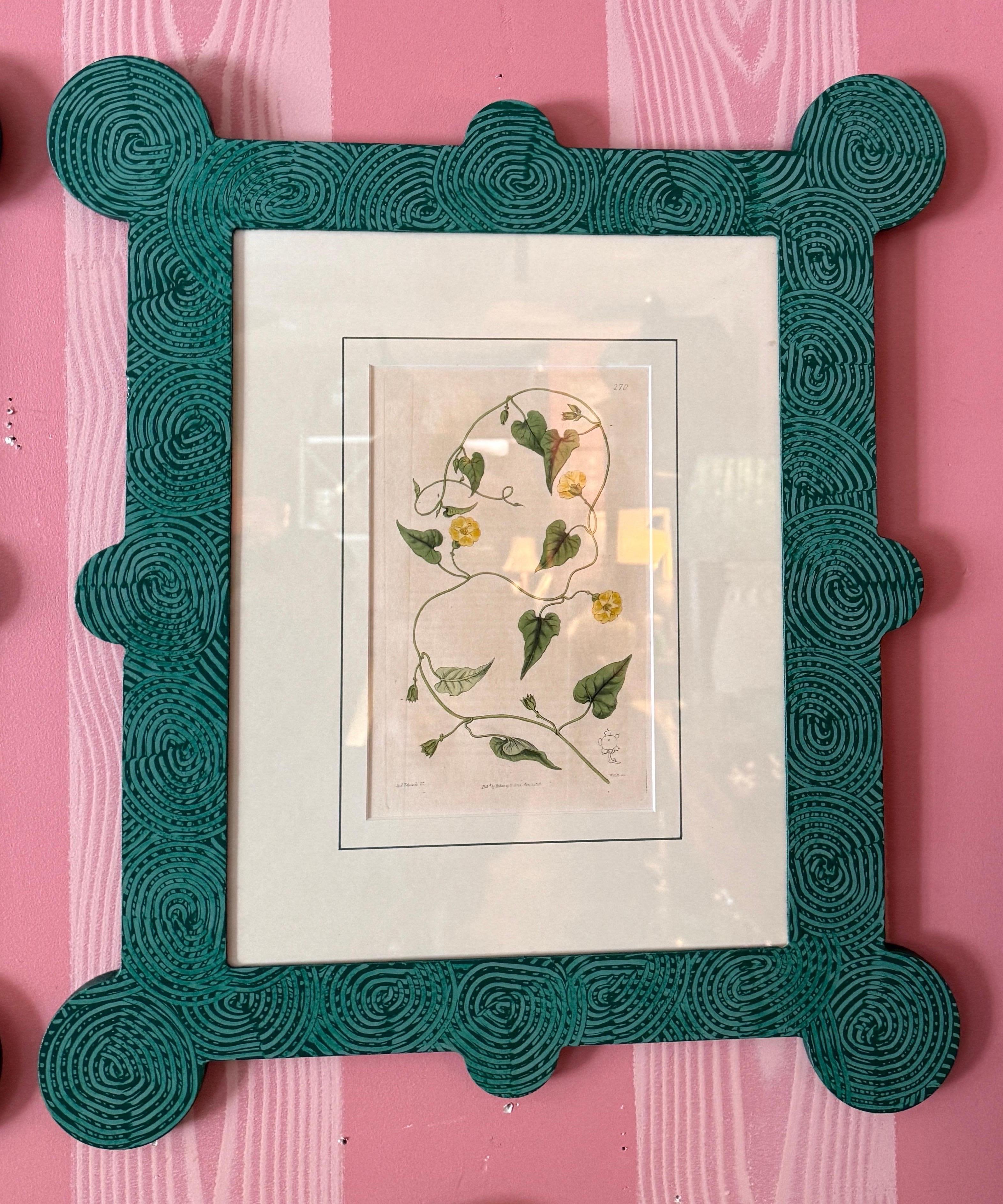 18-19th Cent Botanicals in benutzerdefinierten Hand gemalt Frames von Fabulous Things 14total (19. Jahrhundert) im Angebot