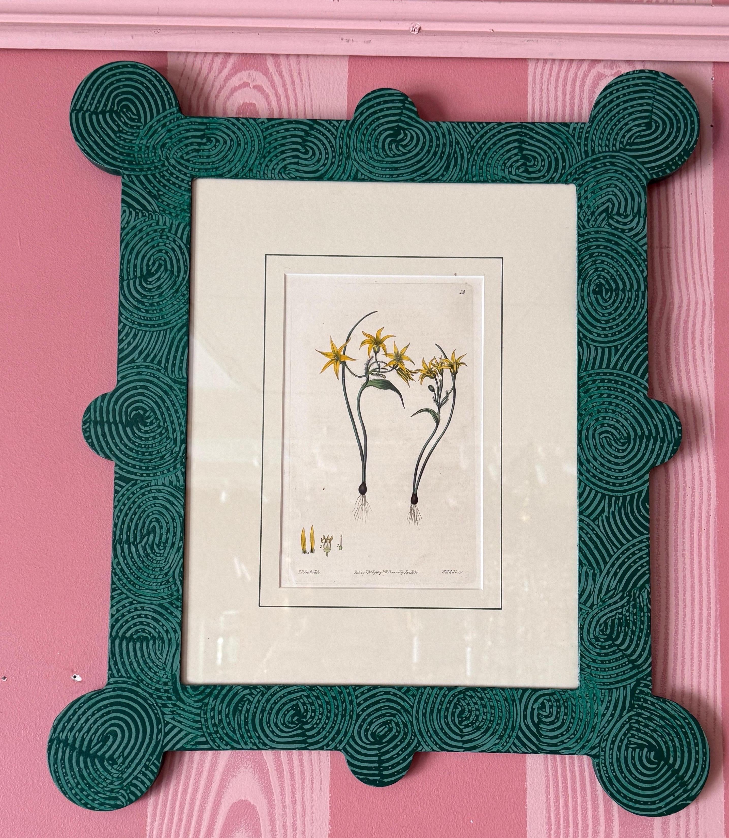 18-19th Cent Botanicals in benutzerdefinierten Hand gemalt Frames von Fabulous Things 14total (Holz) im Angebot