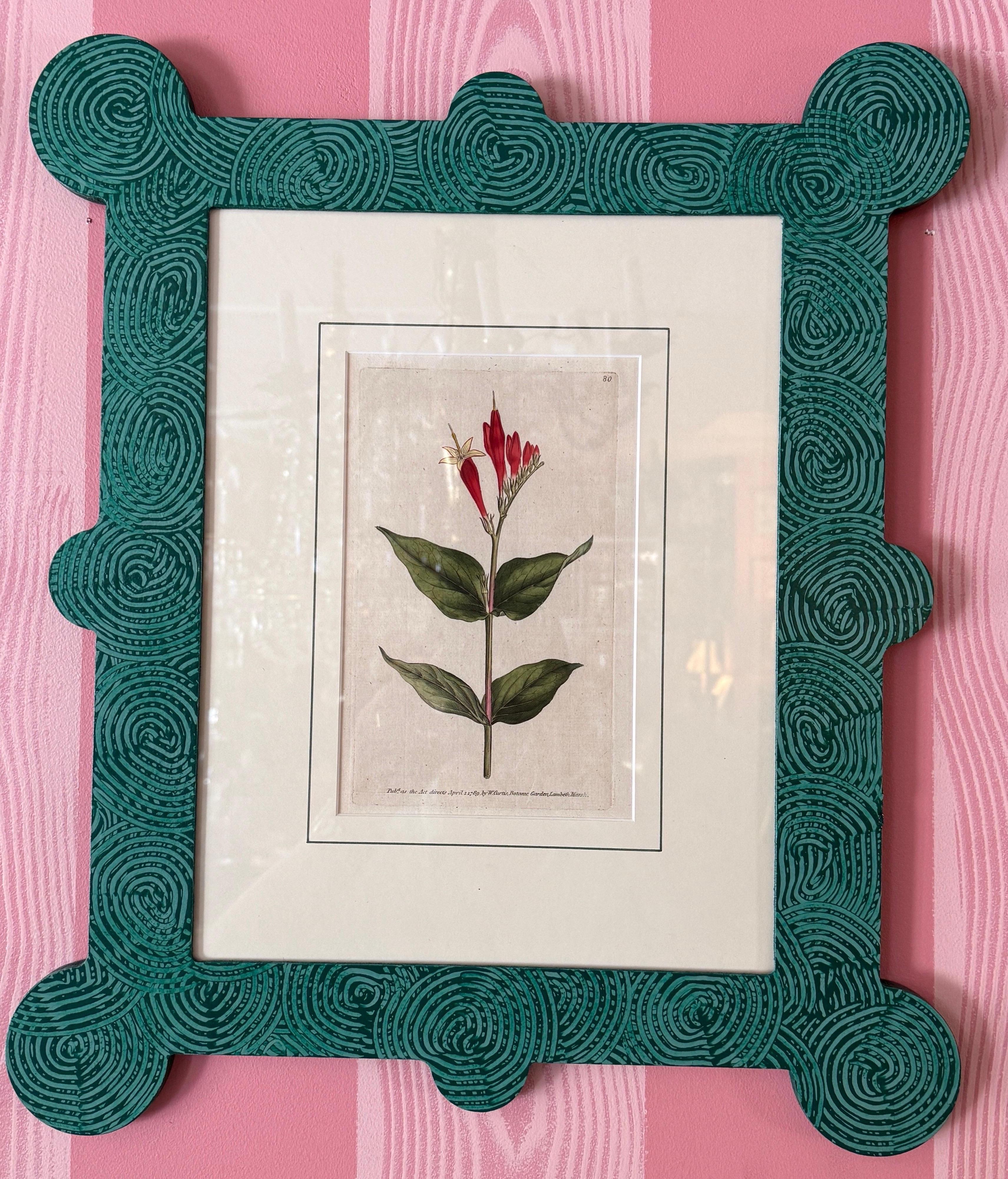 18-19th Cent Botanicals in benutzerdefinierten Hand gemalt Frames von Fabulous Things 14total im Angebot 1
