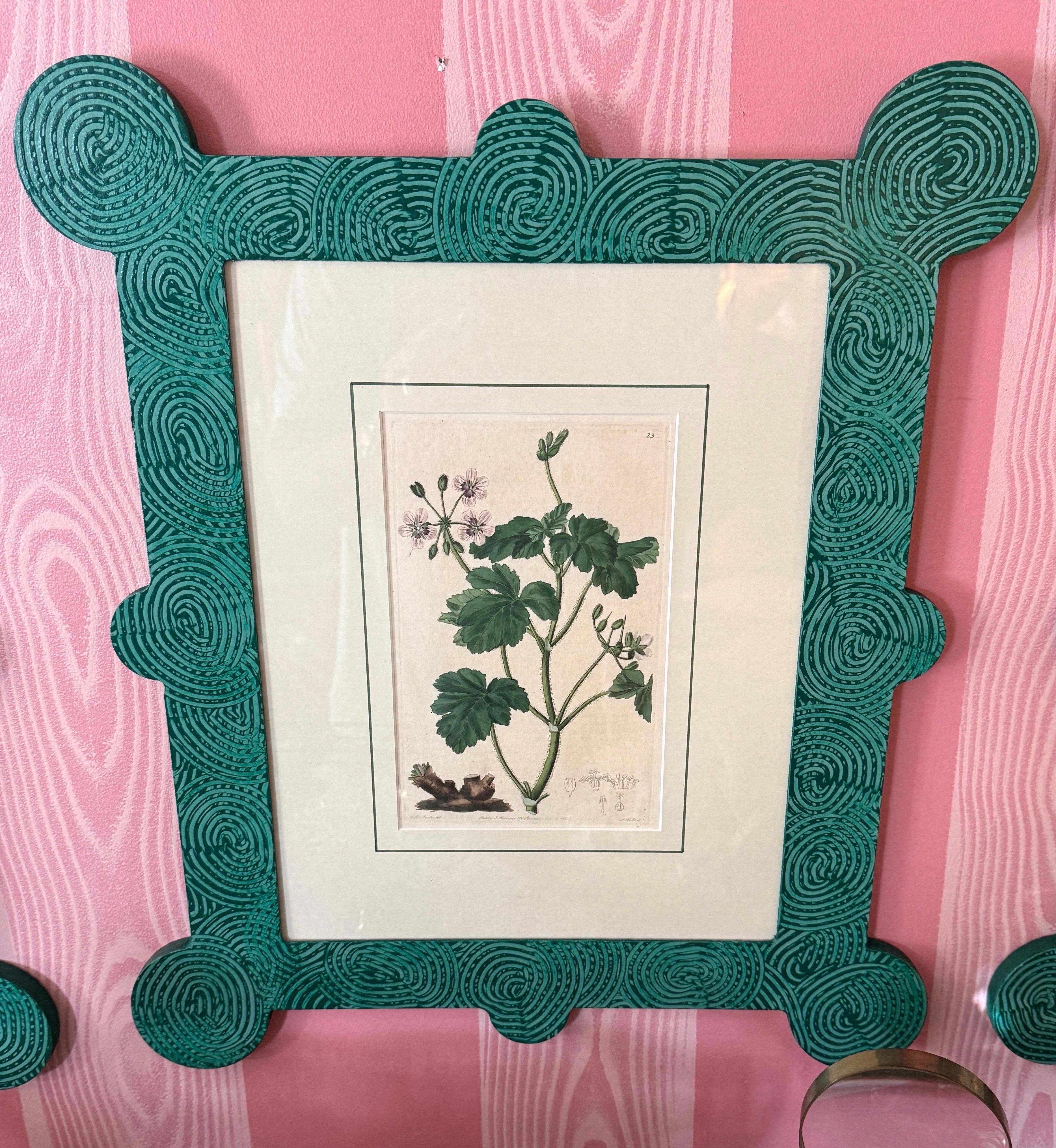 18-19th Cent Botanicals in benutzerdefinierten Hand gemalt Frames von Fabulous Things 14total im Angebot 3