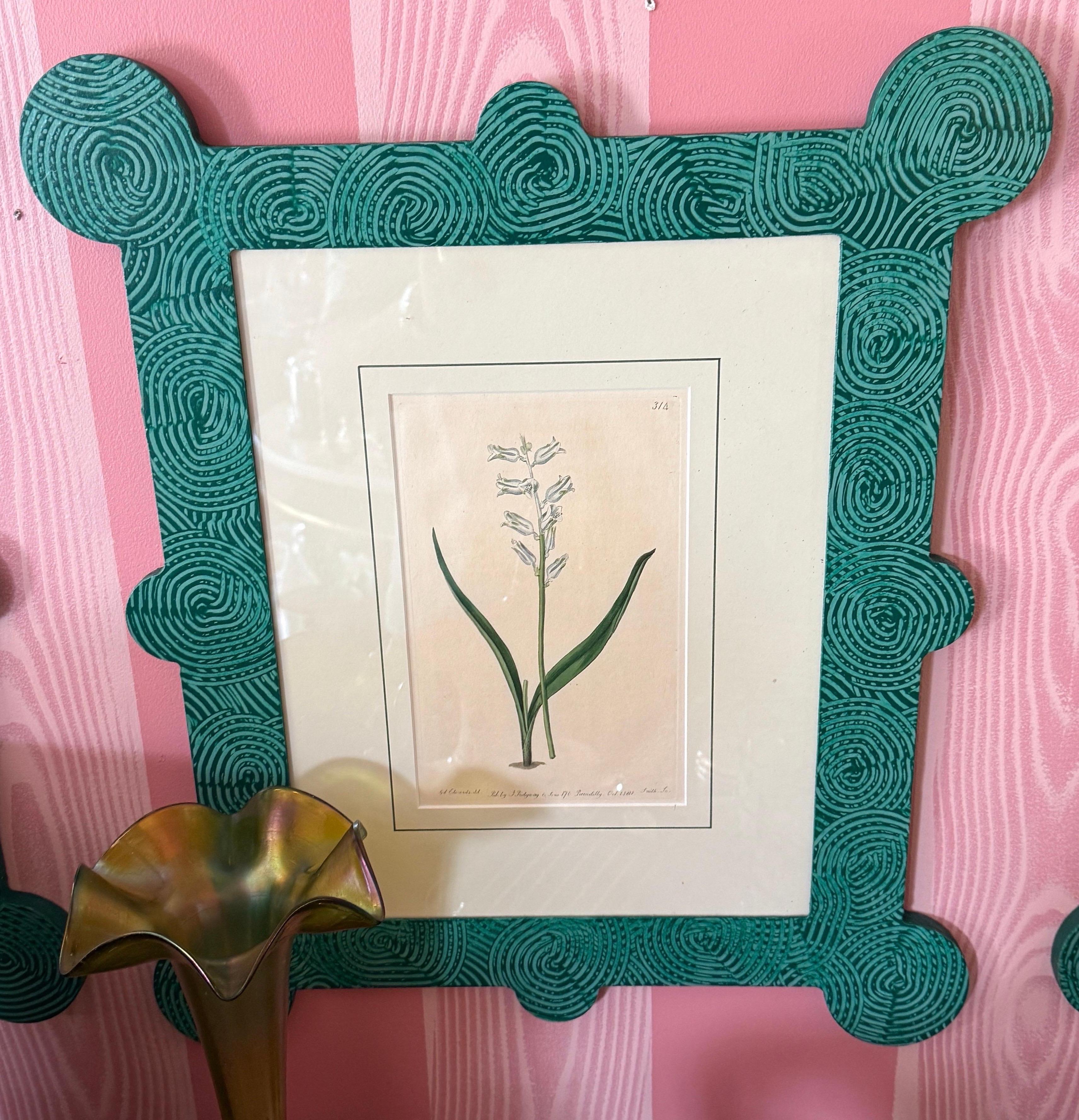 18-19th Cent Botanicals in benutzerdefinierten Hand gemalt Frames von Fabulous Things 14total im Angebot 4
