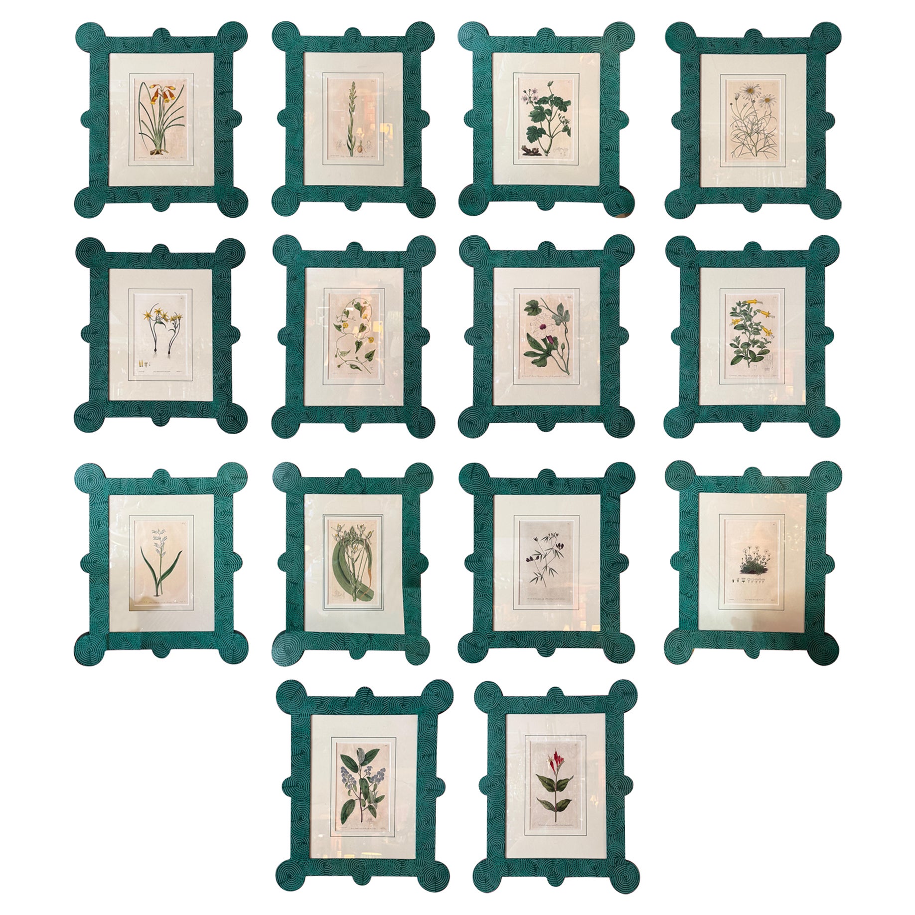 18-19th Cent Botanicals in benutzerdefinierten Hand gemalt Frames von Fabulous Things 14total im Angebot