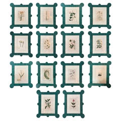 18-19th Cent Botanicals in benutzerdefinierten Hand gemalt Frames von Fabulous Things 14total