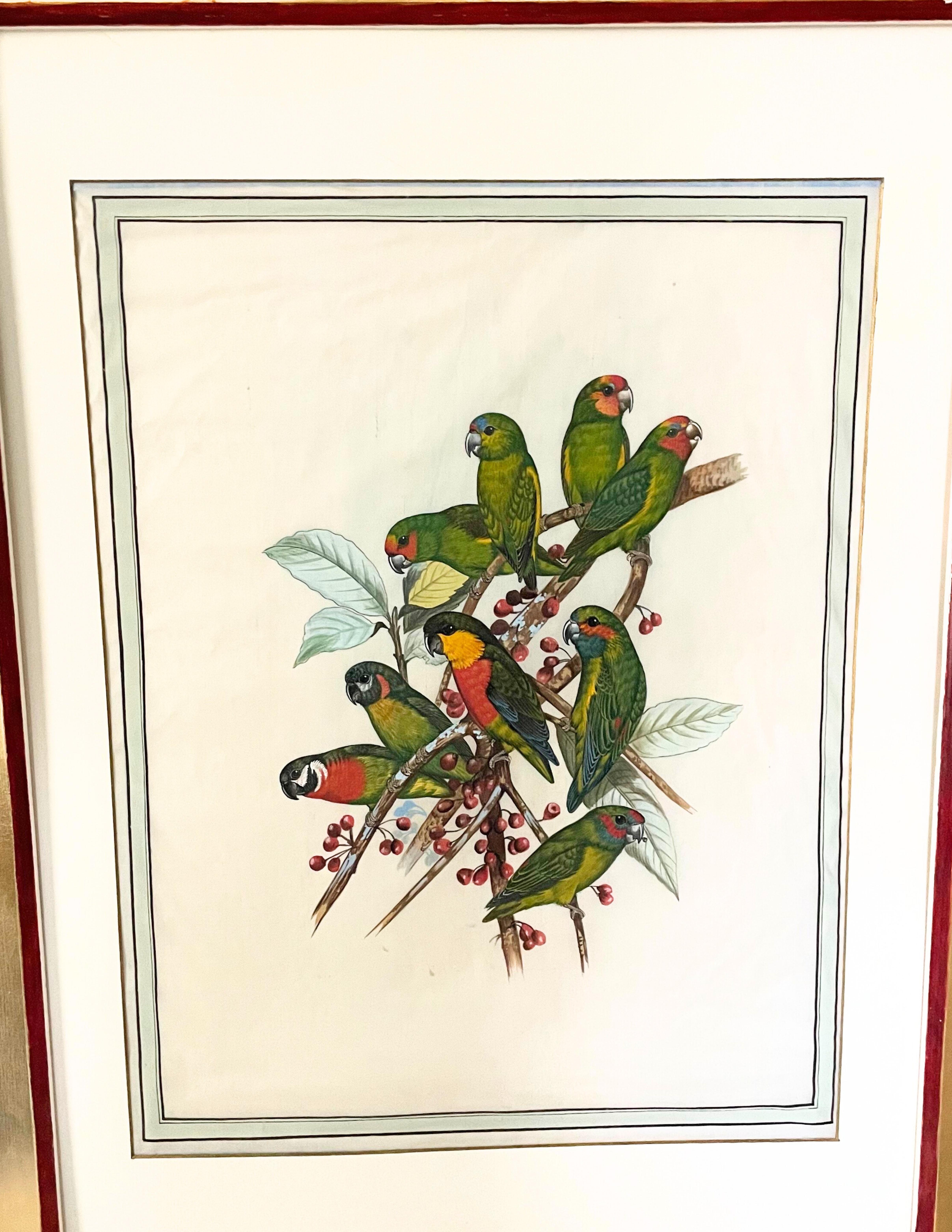 Européen 18 gravures anciennes d'oiseaux colorées à la main  en vente