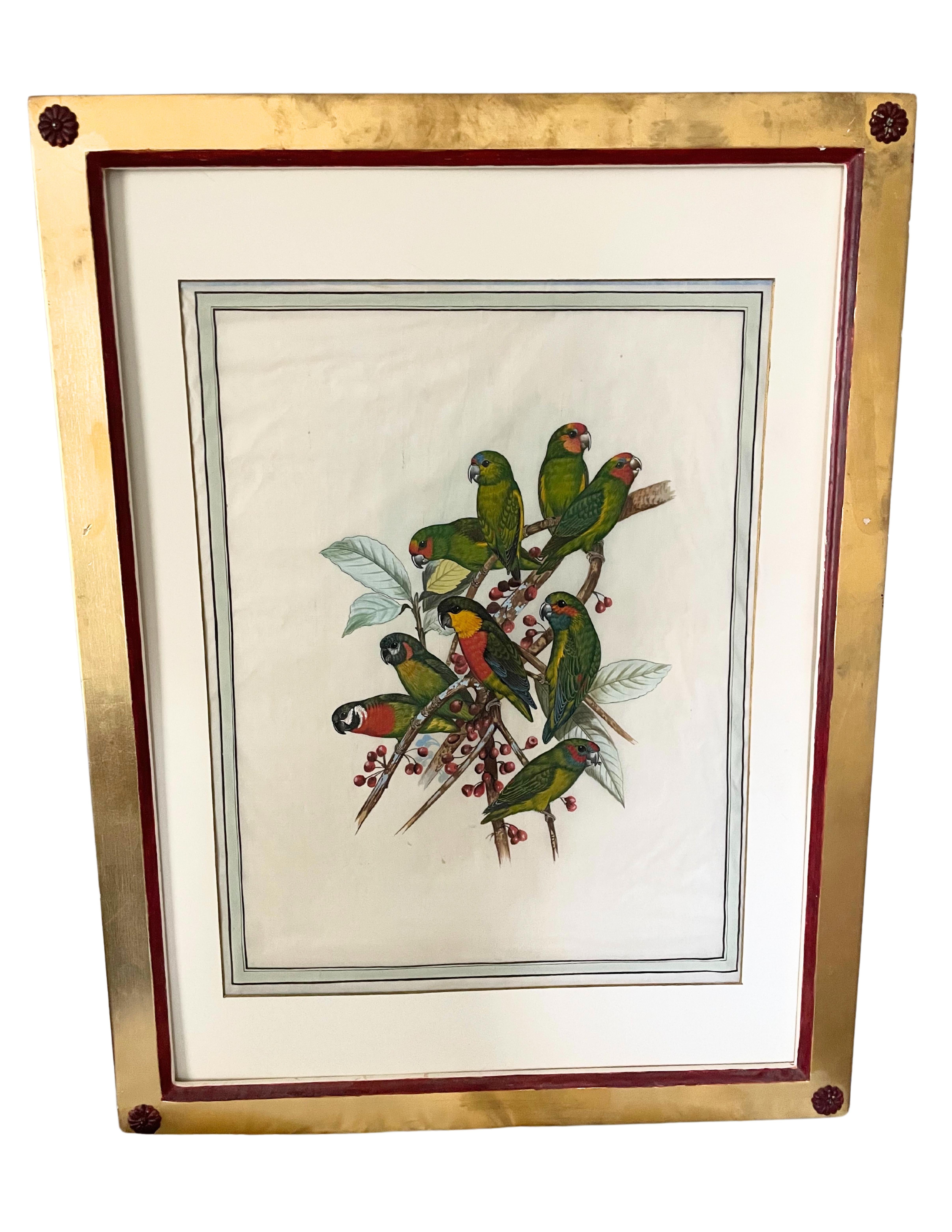 Gravures anciennes d'oiseaux
Études d'histoire naturelle des perroquets et des oiseaux tropicaux
Gravures coloriées à la main
23.5 x 30.5  pouces chacun, y compris le cadre

Imaginez les 18 sur un seul mur de votre bureau. 
