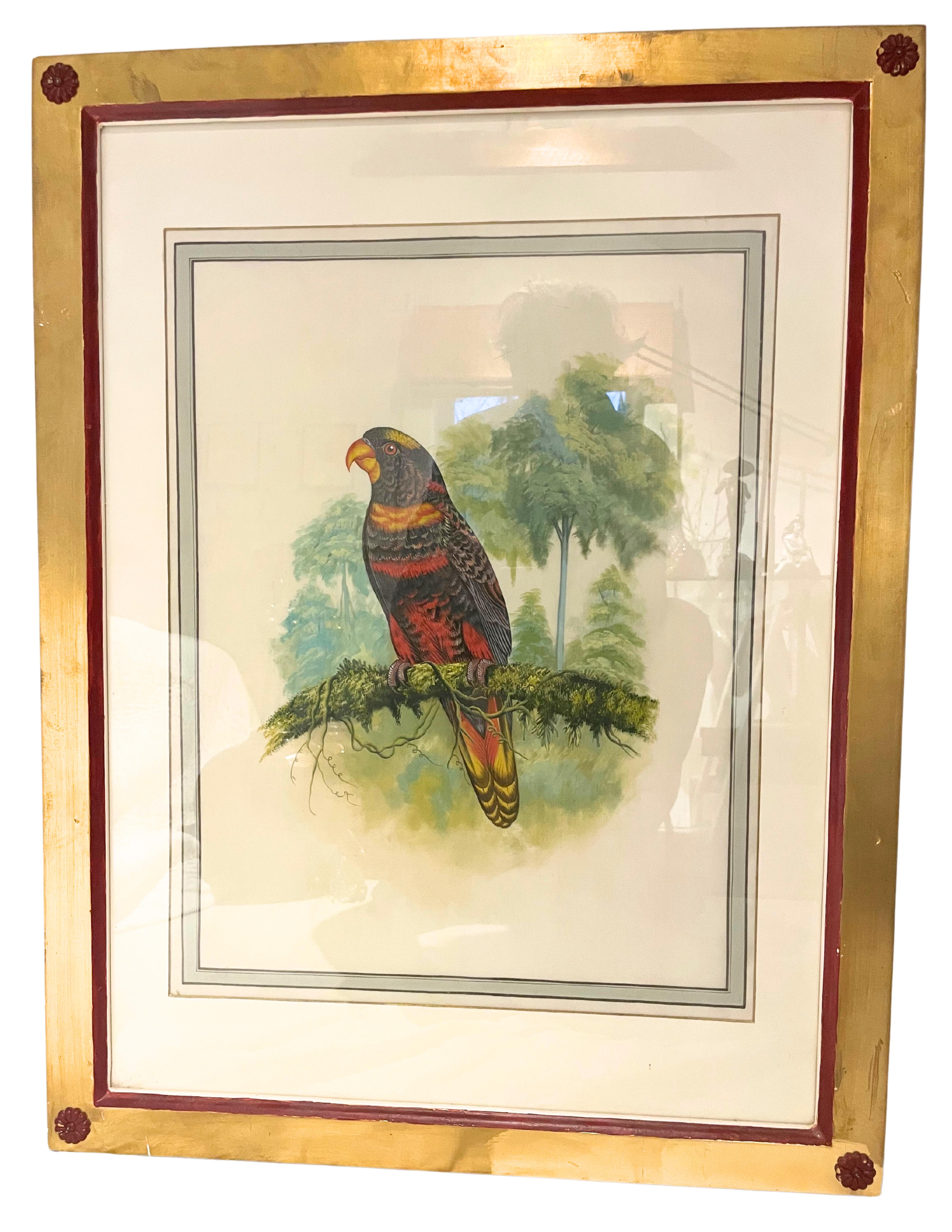 XIXe siècle 18 gravures anciennes d'oiseaux colorées à la main  en vente