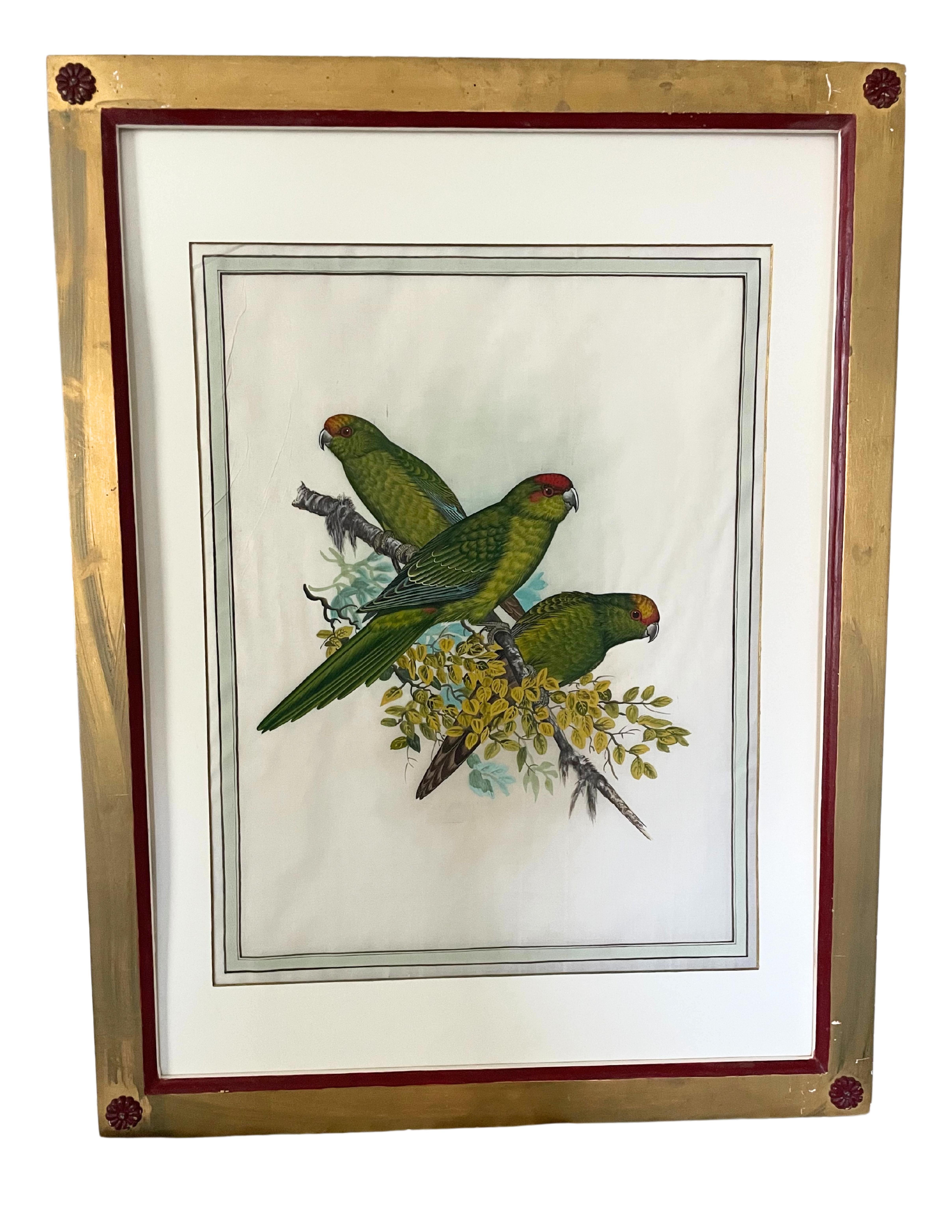 18 gravures anciennes d'oiseaux colorées à la main  Bon état - En vente à New York, NY
