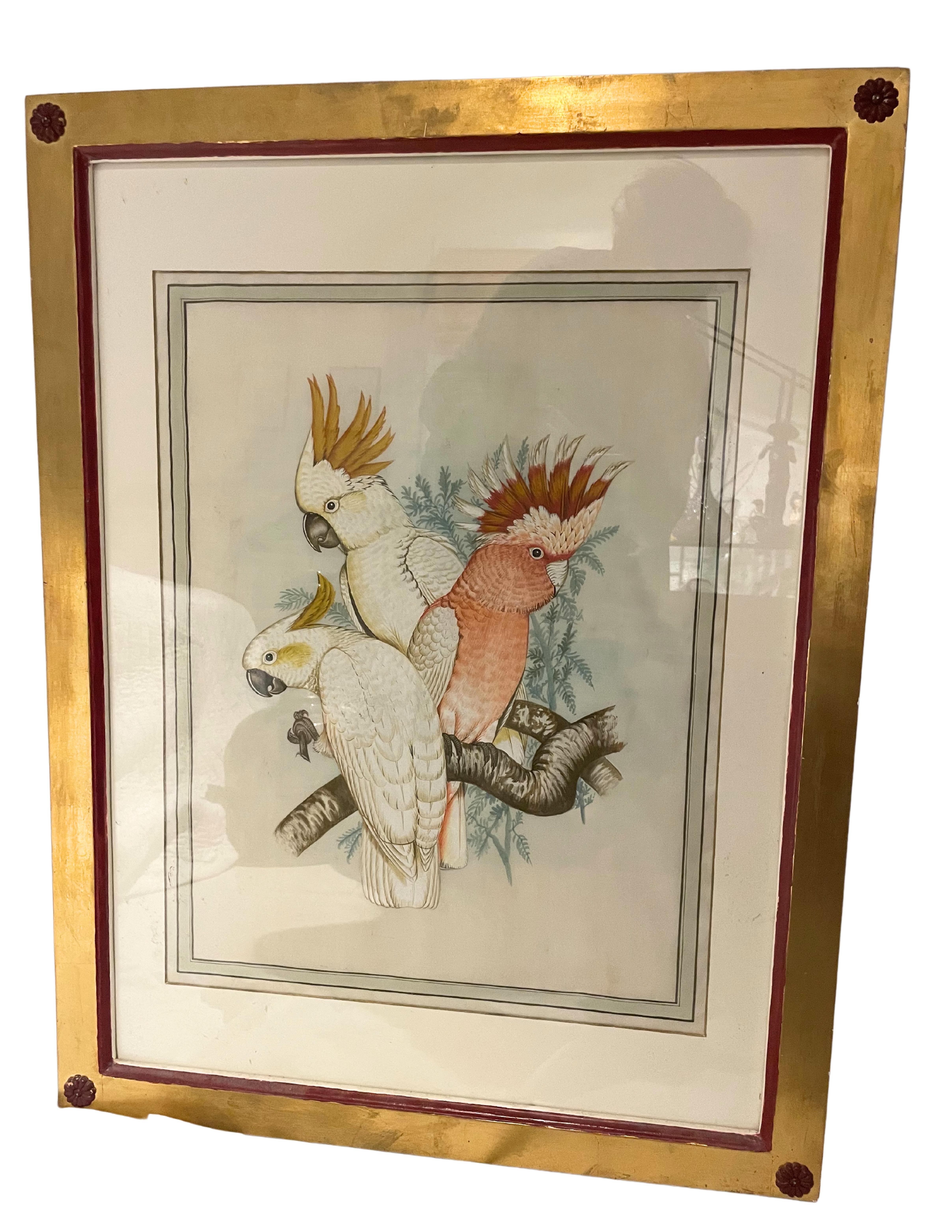 18 gravures anciennes d'oiseaux colorées à la main  en vente 1