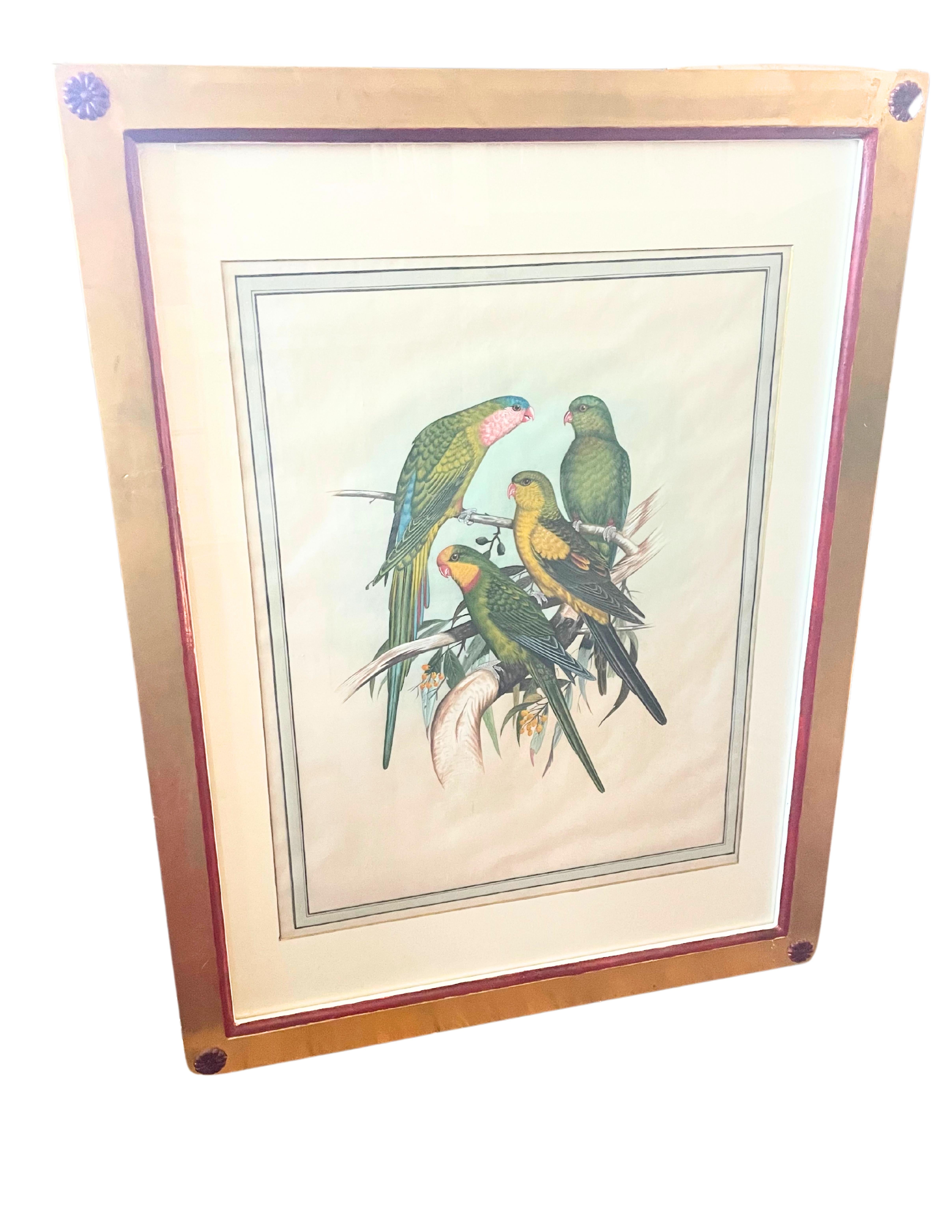 18 gravures anciennes d'oiseaux colorées à la main  en vente 2
