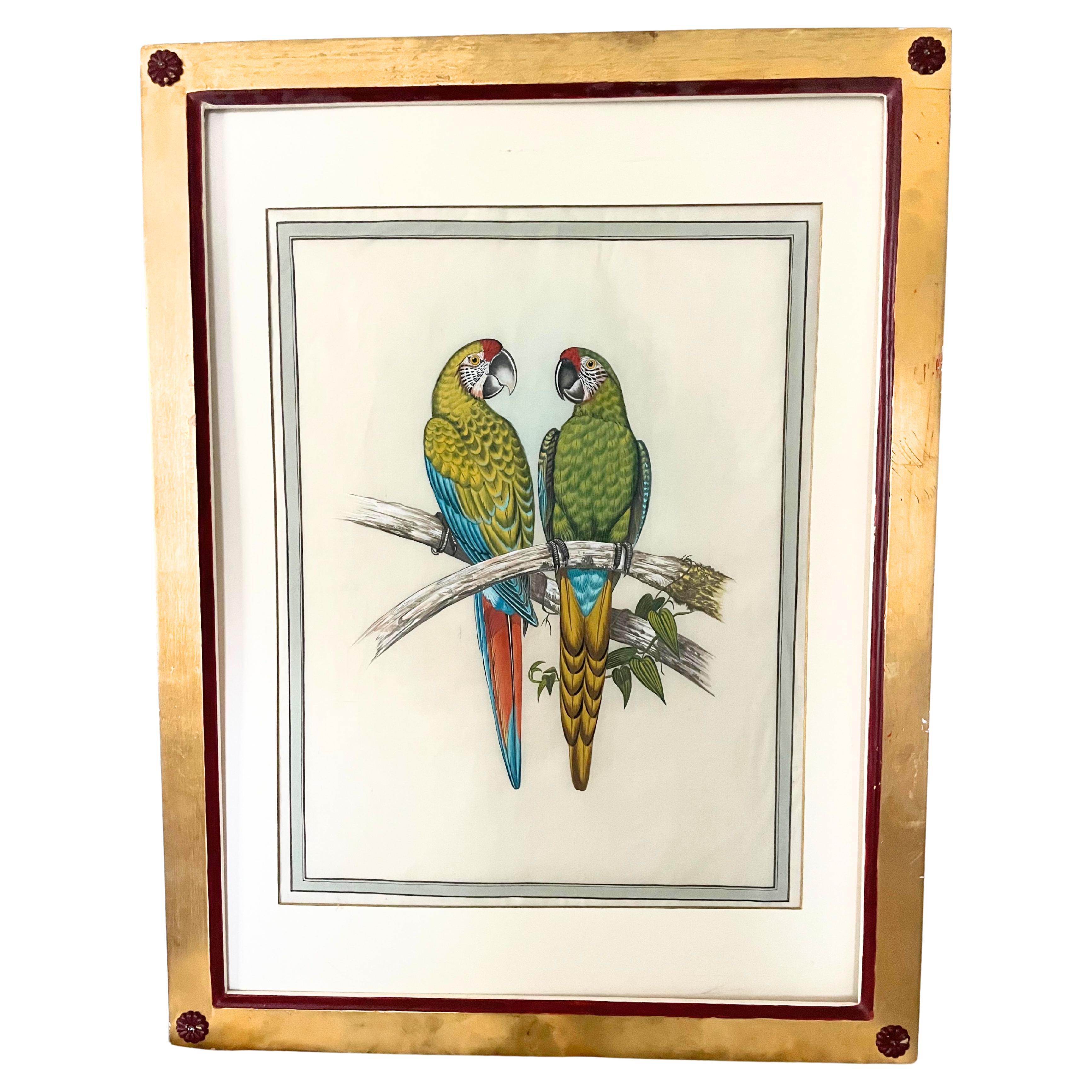 18 gravures anciennes d'oiseaux colorées à la main  en vente
